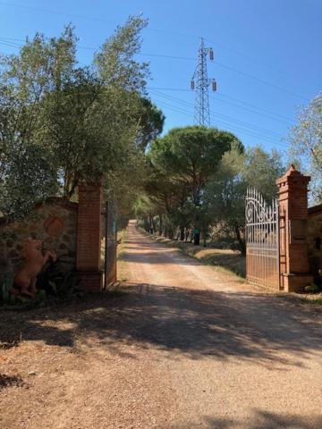 Photo 43