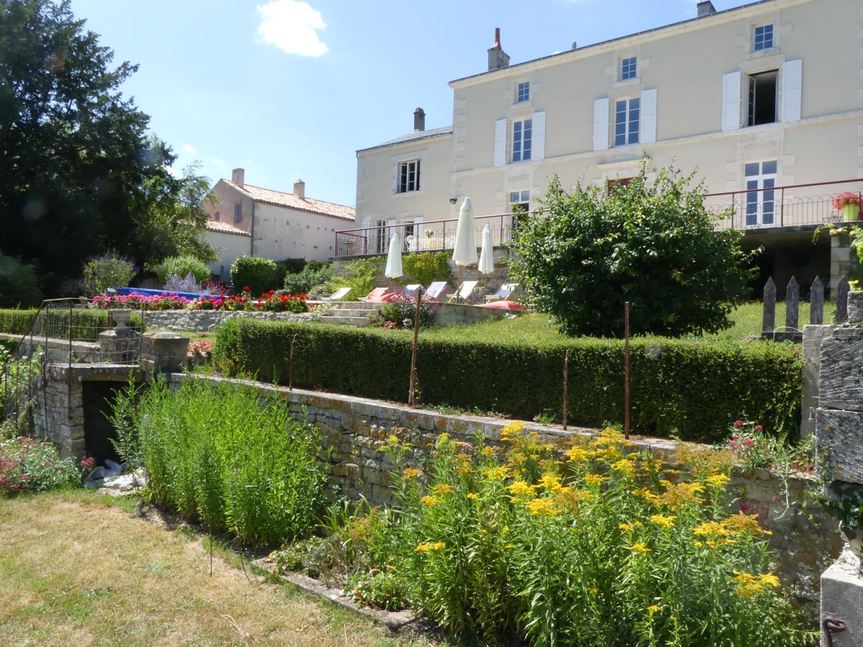 Photo 8