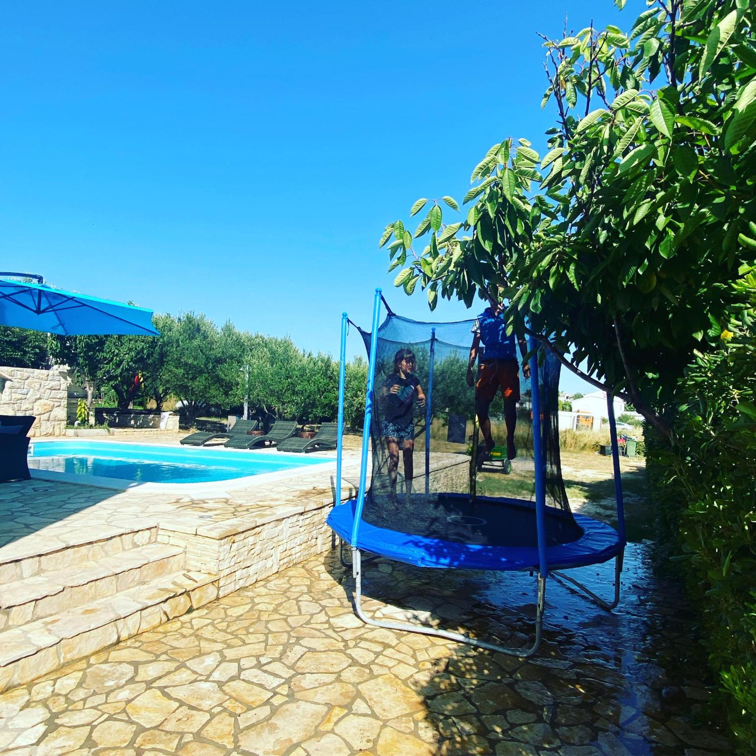Photo 8
