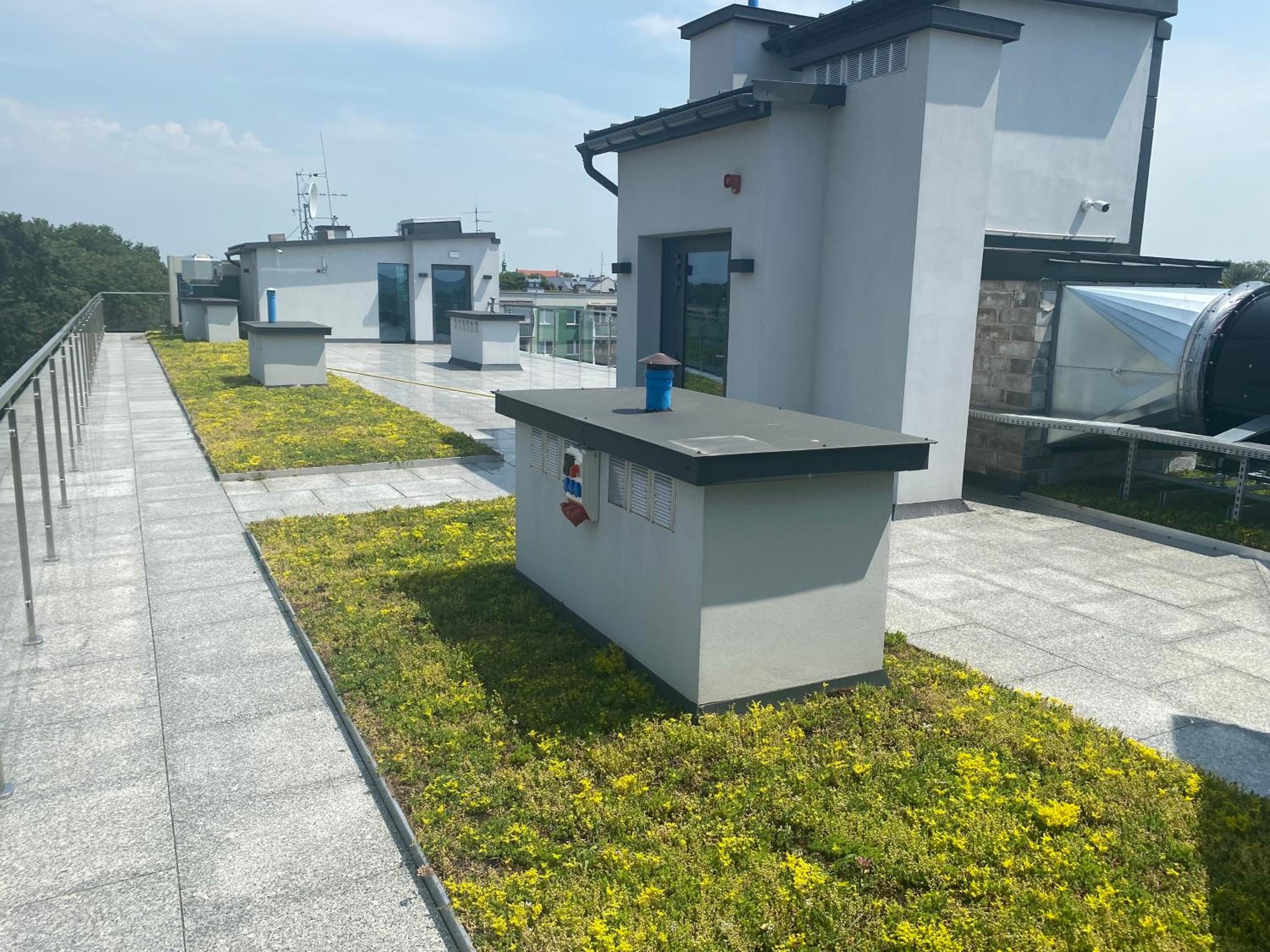 rooftop