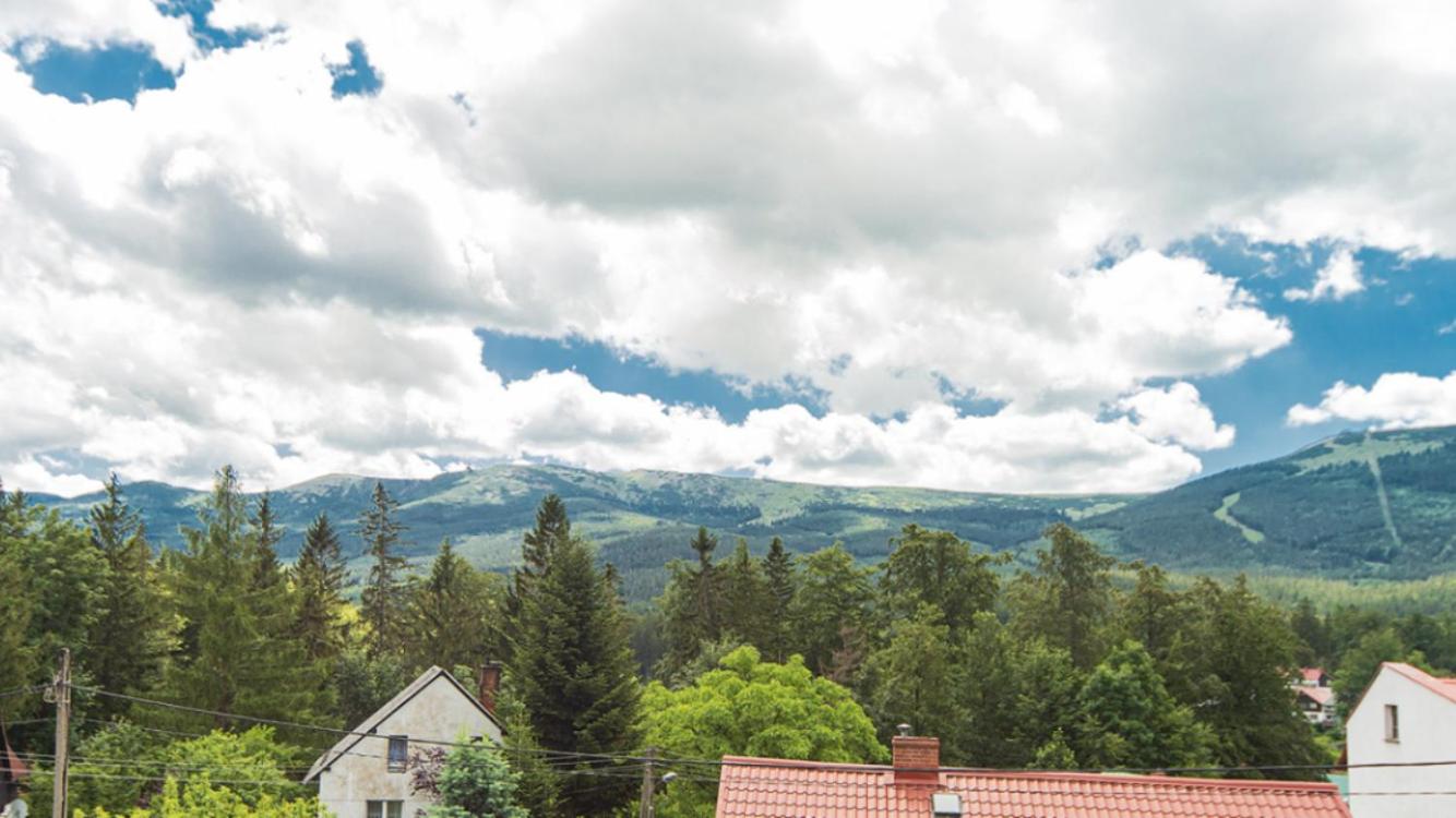 Mega widok view 2