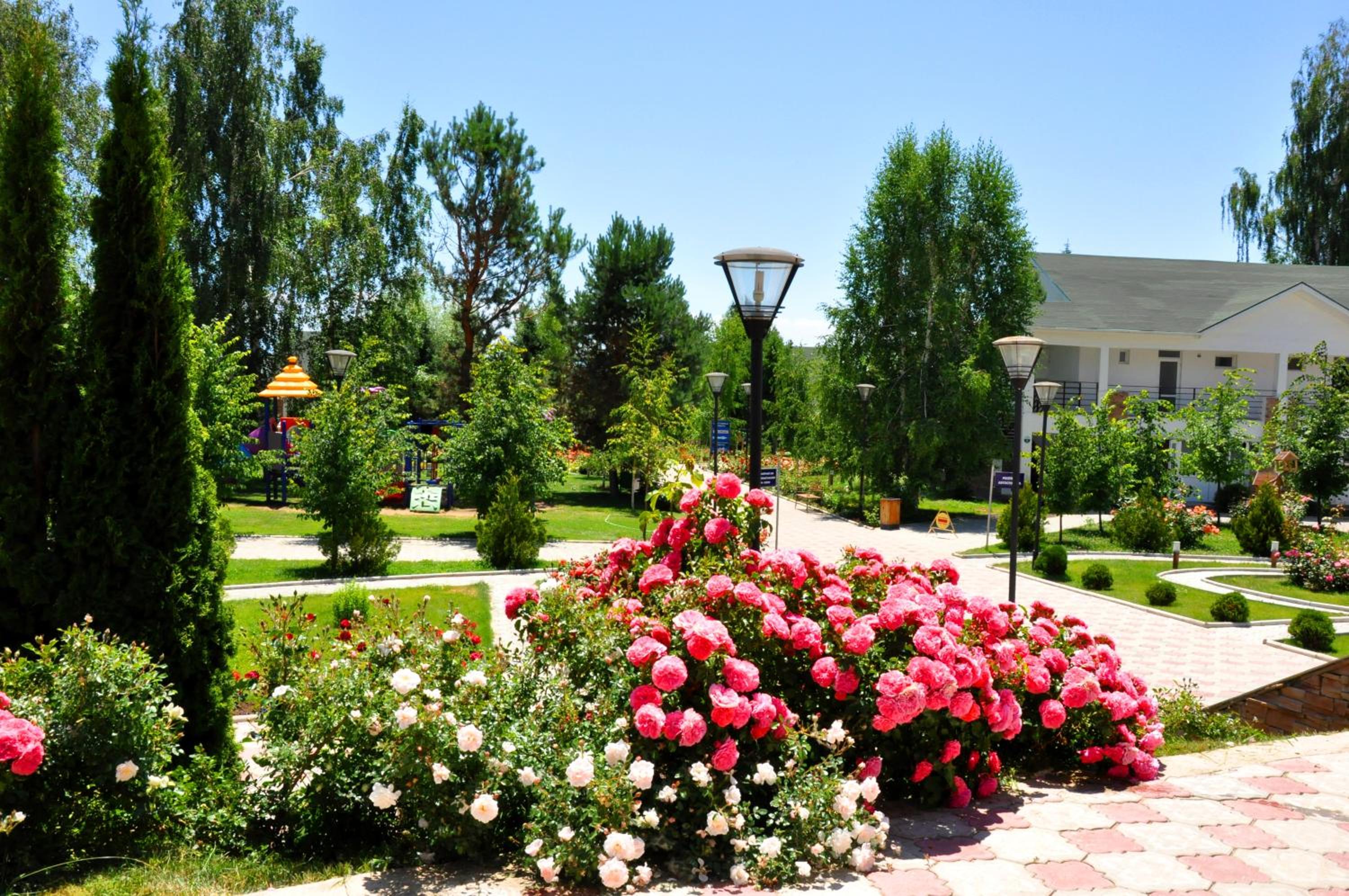 garden