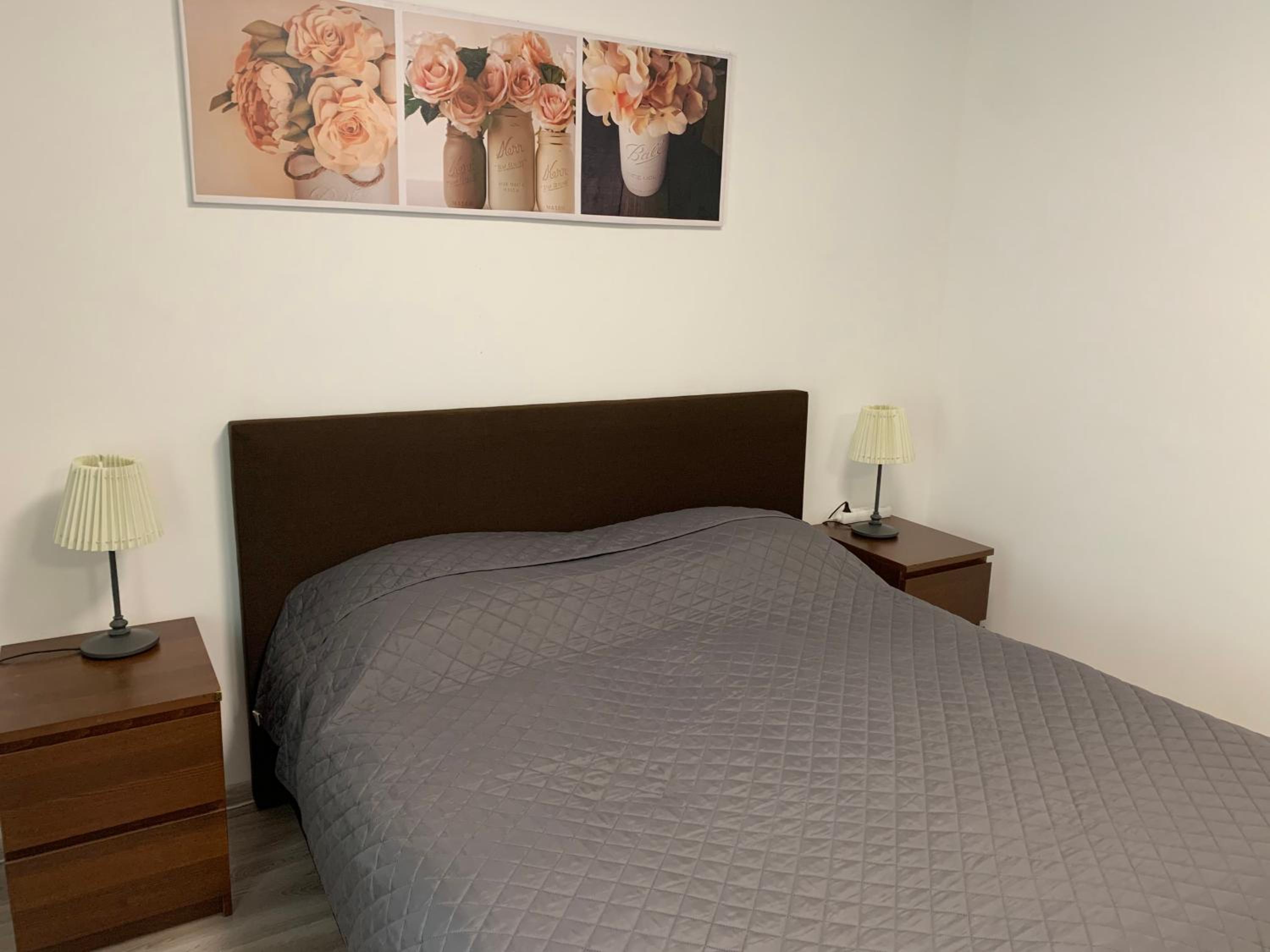 Apartament TT10 Botanicka view 5