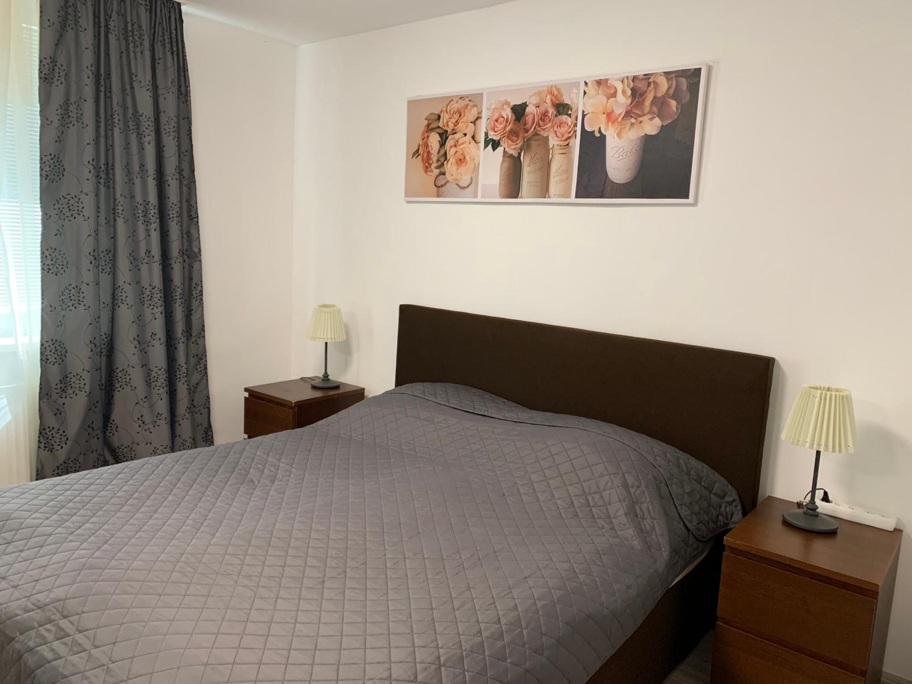 Apartament TT10 Botanicka view 3