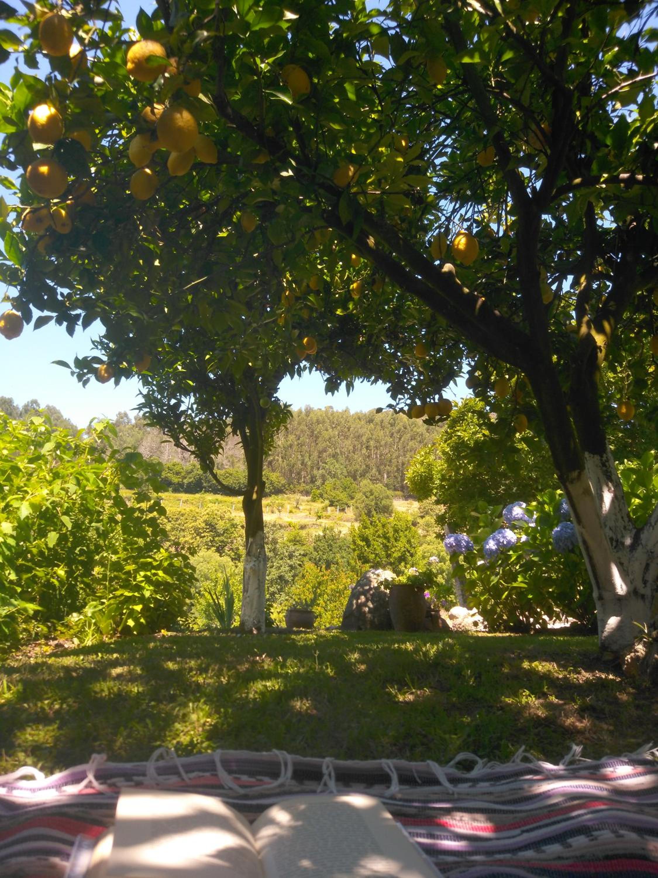 Photo 29