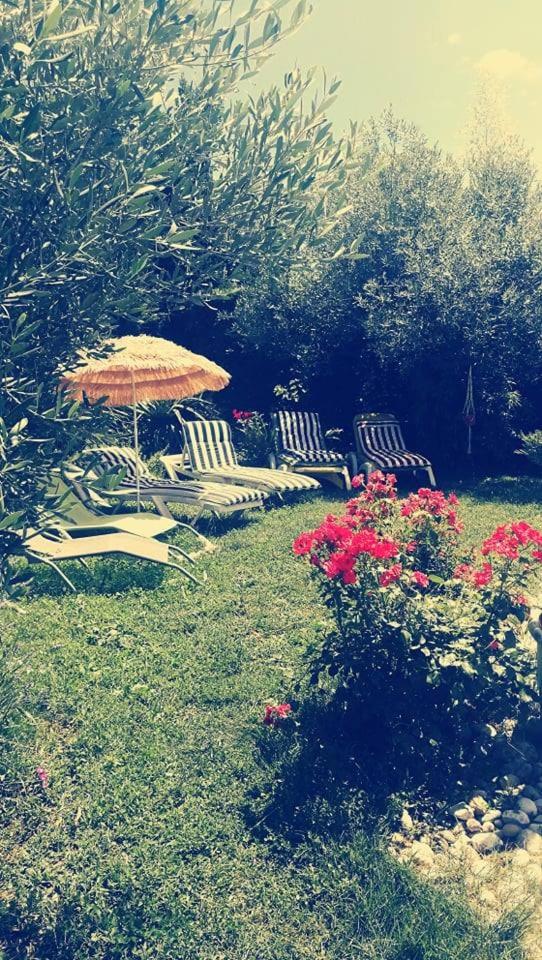 Le Jardin Serein view 2