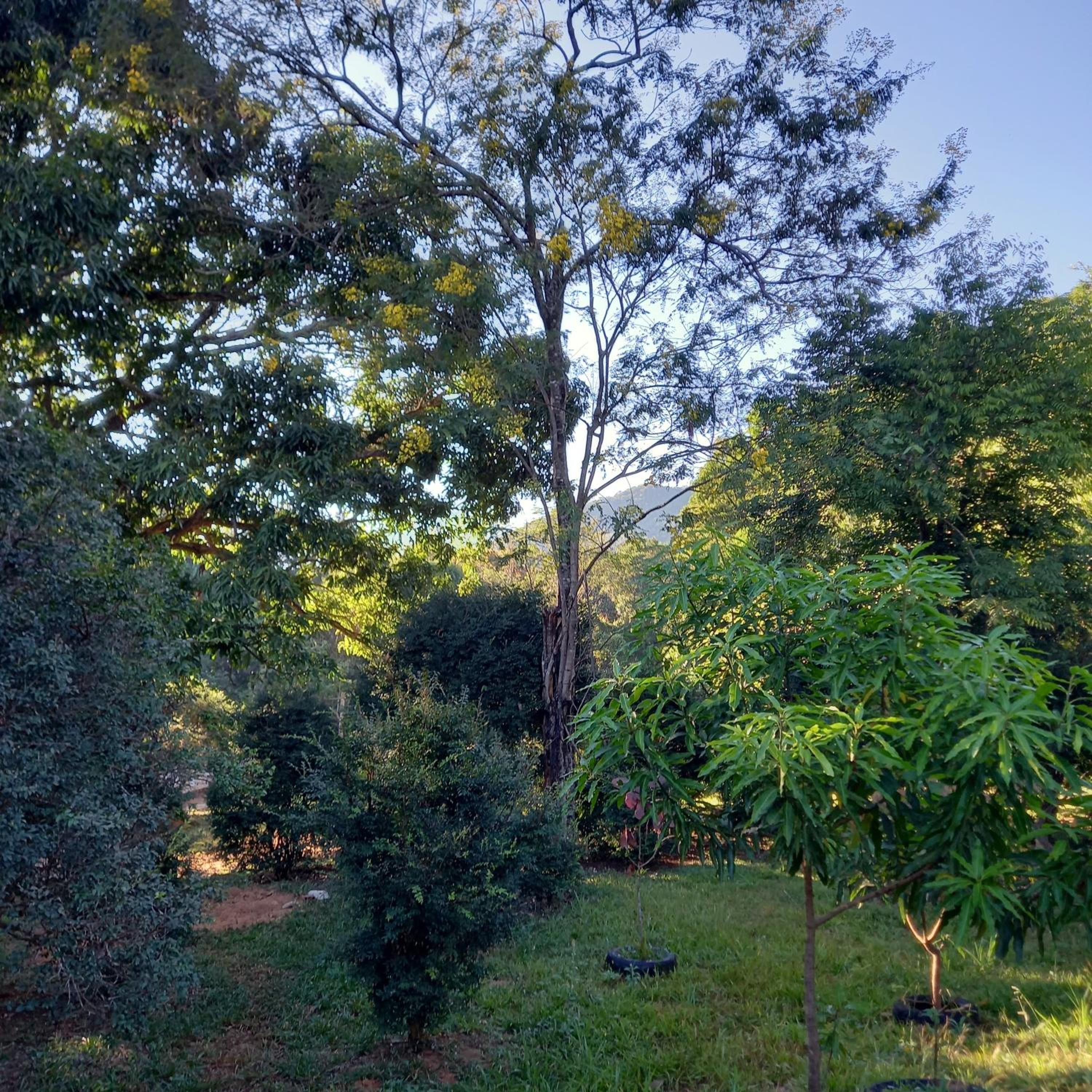 Casa Veredas e Buritis