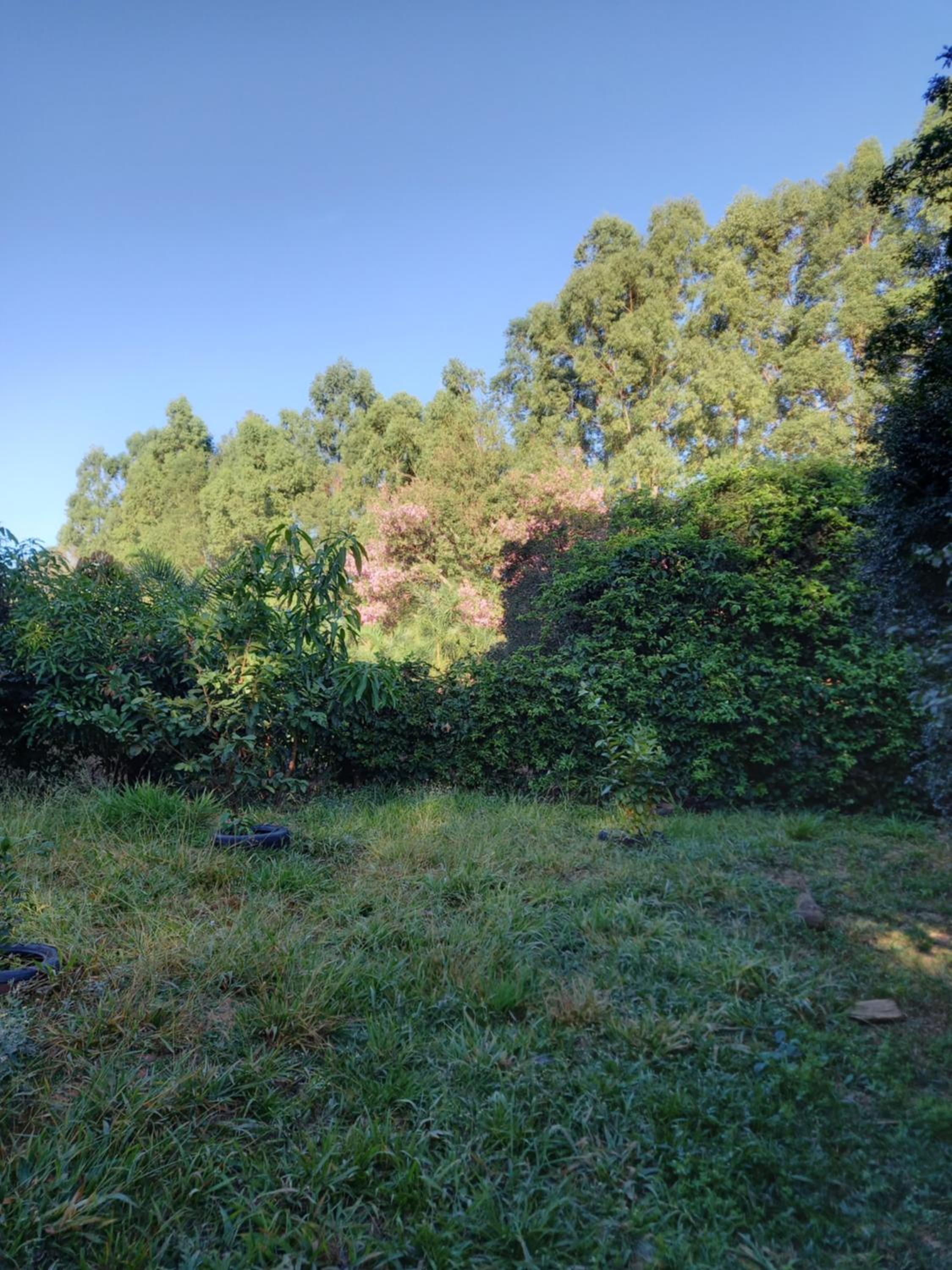 Casa Veredas e Buritis