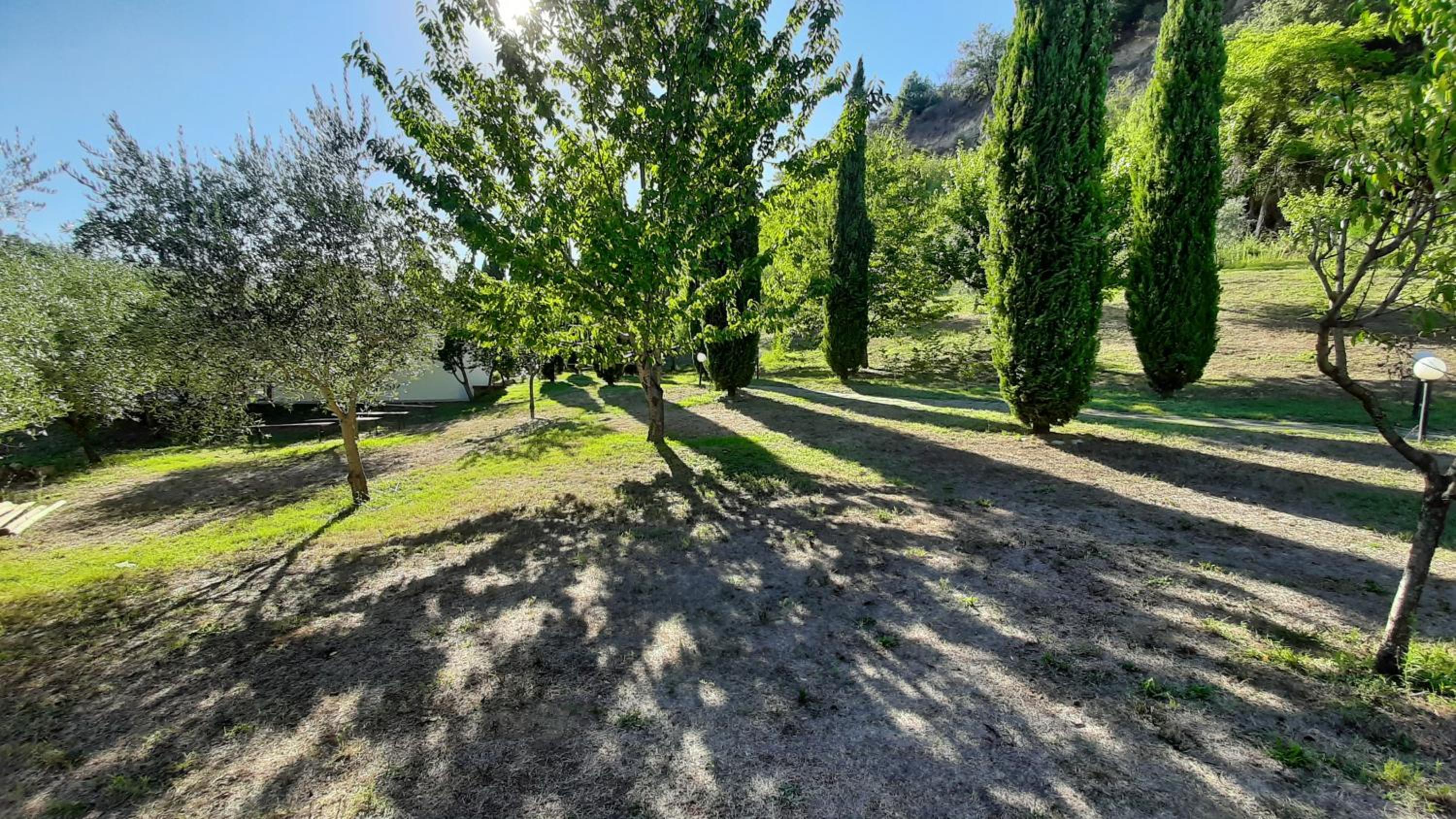 Bio Agriturismo Valle dei Calanchi