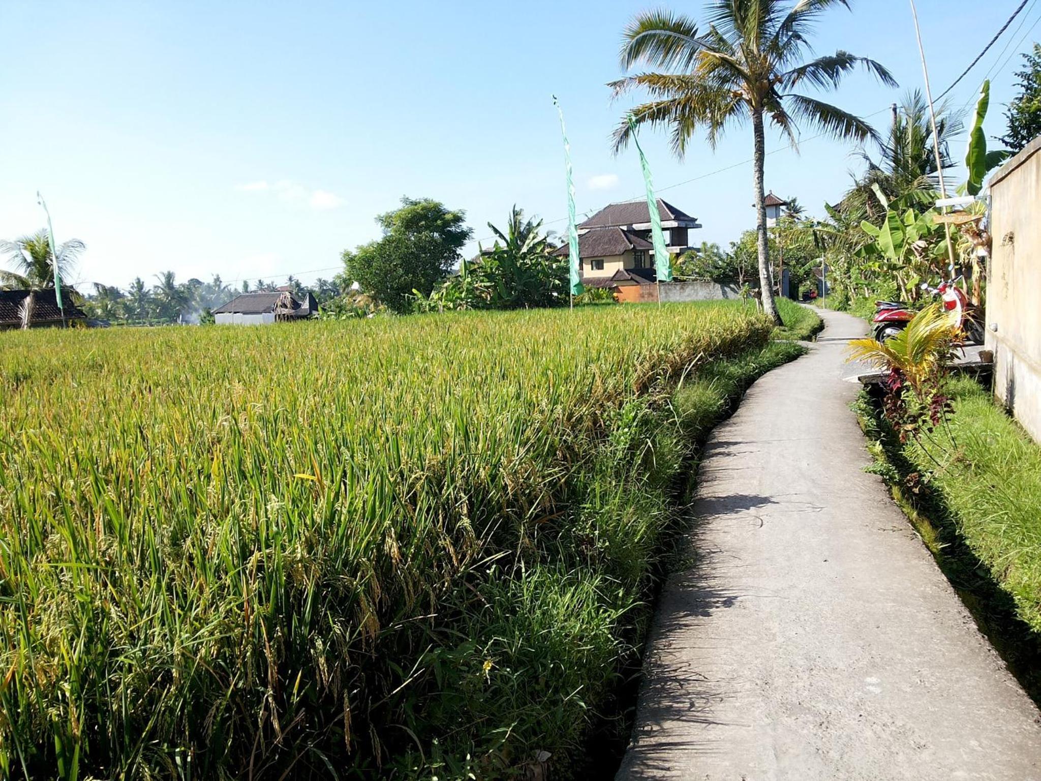 Jagi Villa view 5