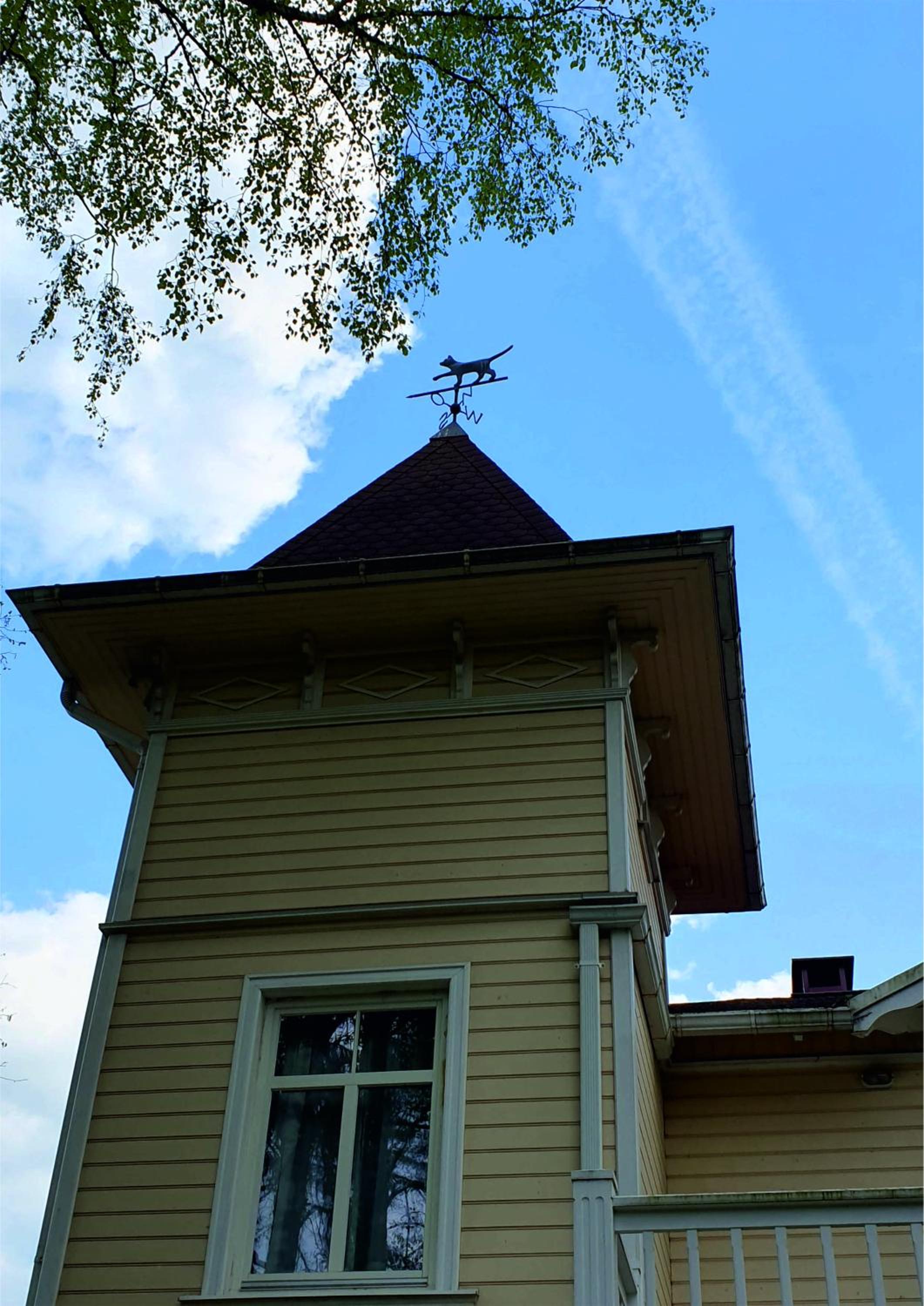 Photo 13