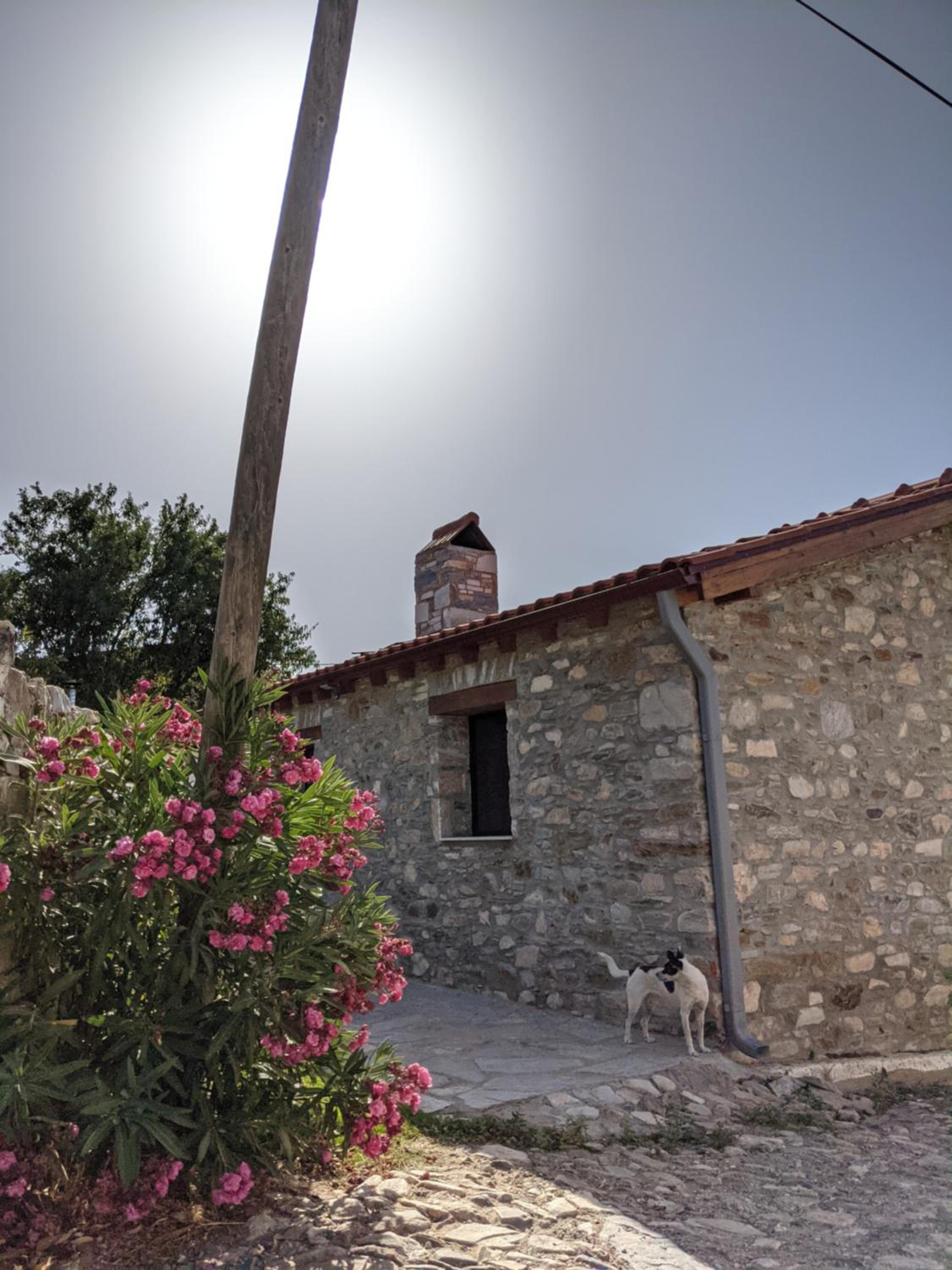 Bahab Guest House