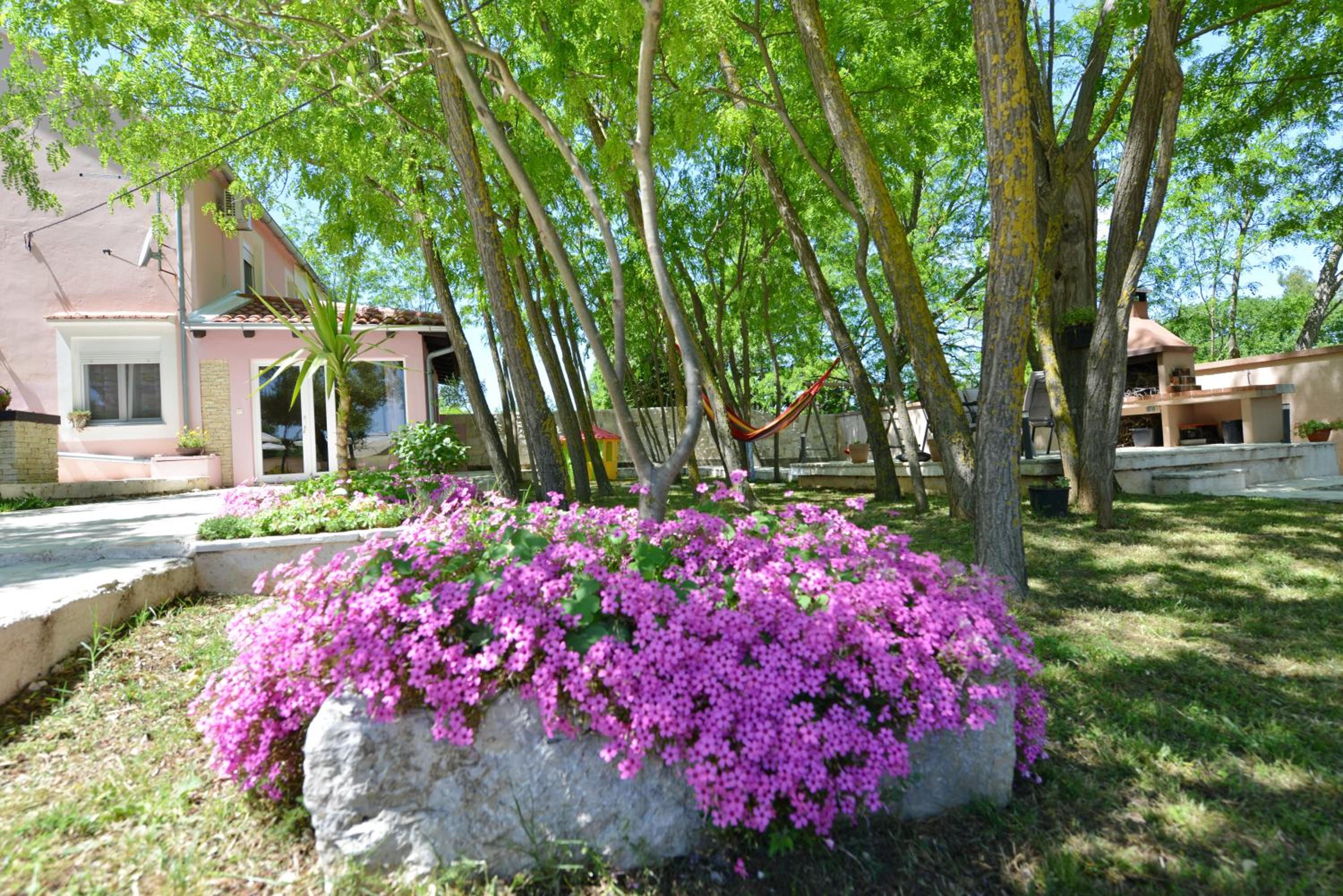 Photo 47