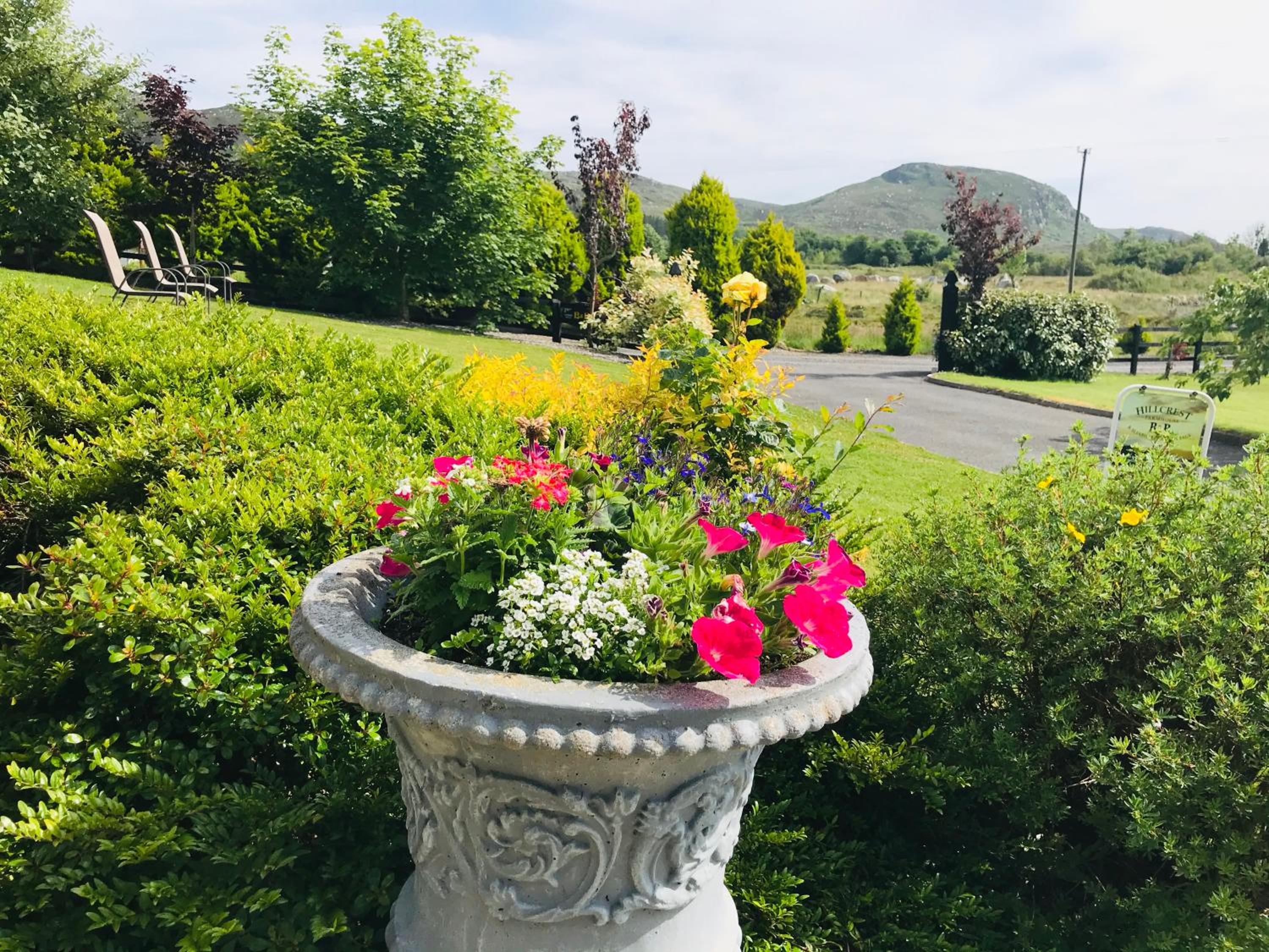 Hillcrest farmhouse Bed & Breakfast