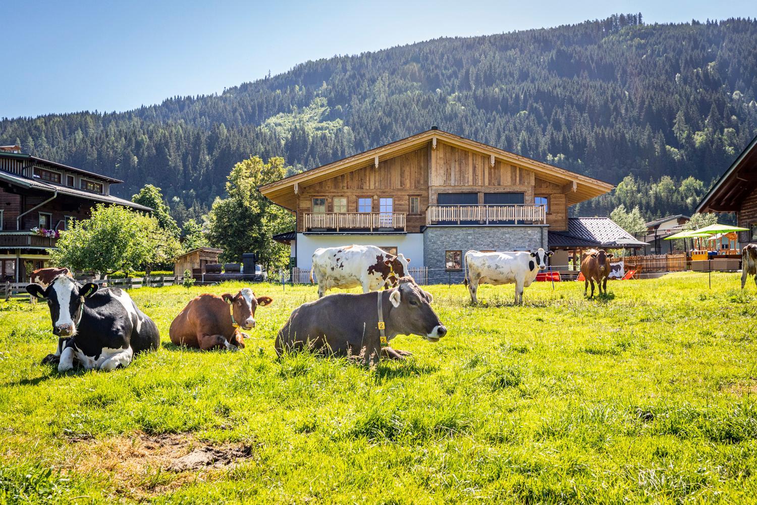 Schiefergut Family Resort Flachau
