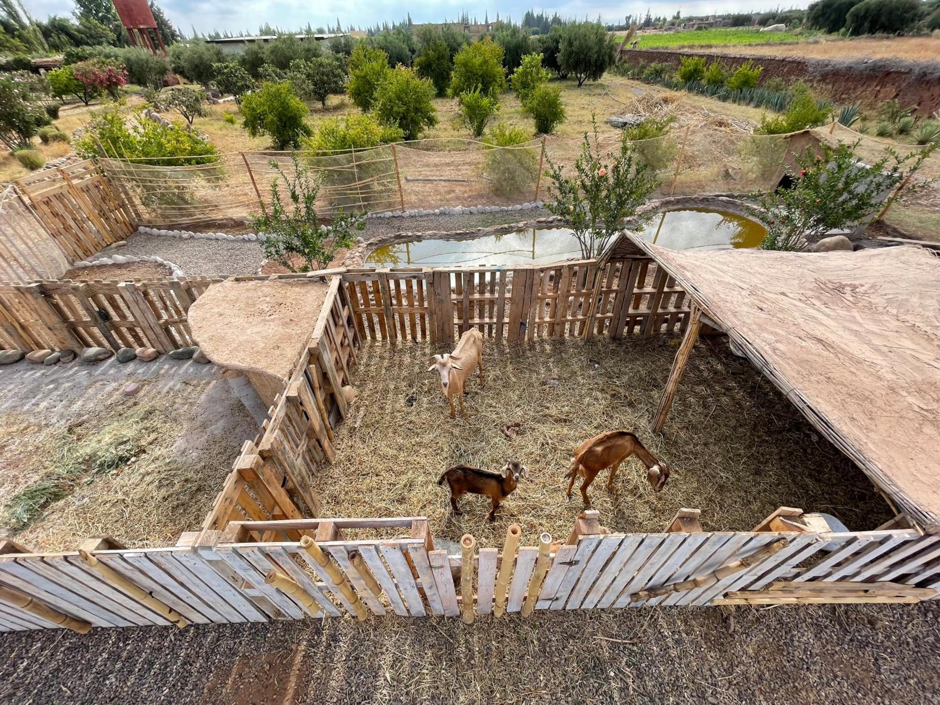 Jnan Lotf Marrakech - Le Jardin de la Bienveillance