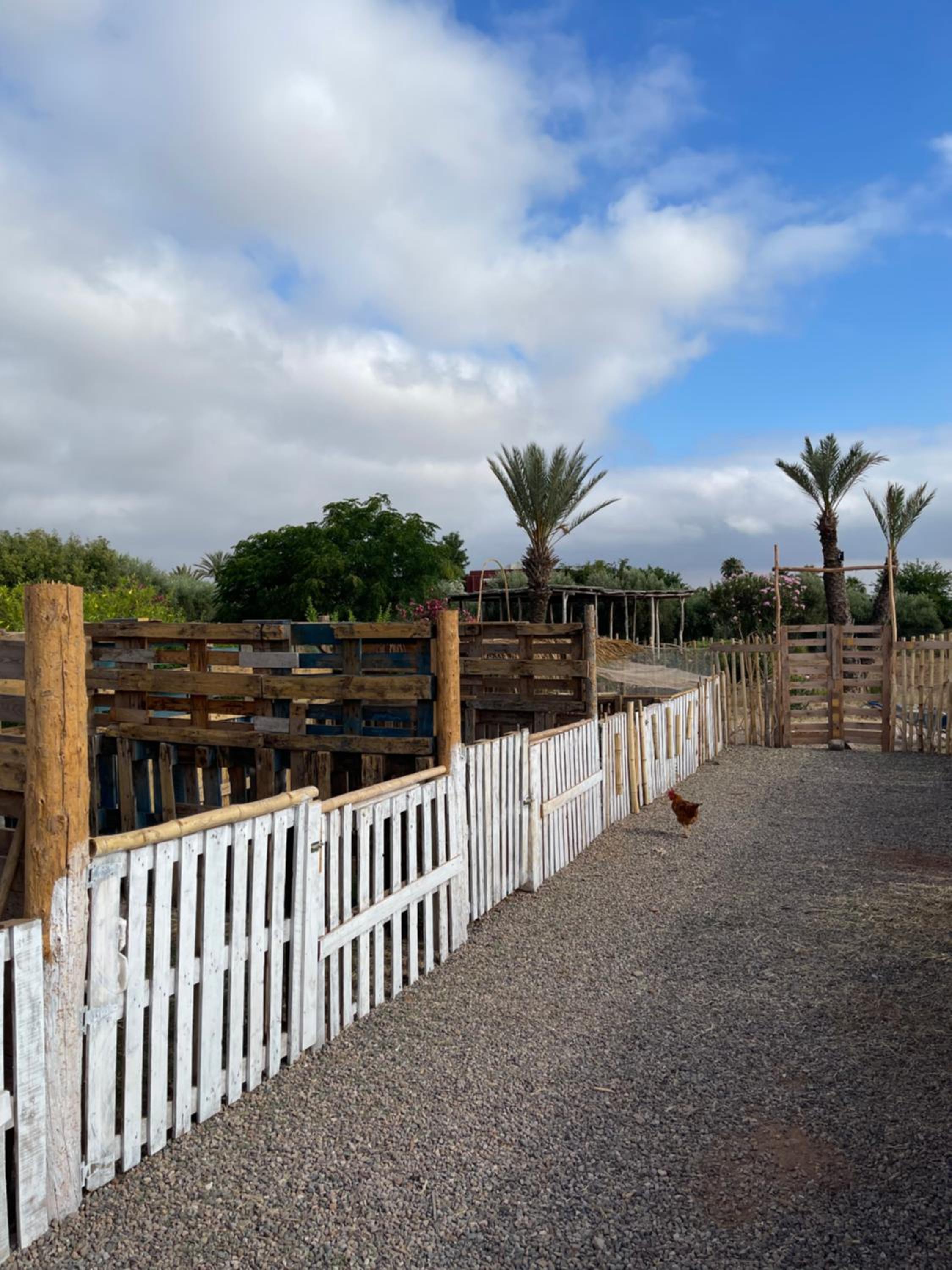Jnan Lotf Marrakech - Le Jardin de la Bienveillance