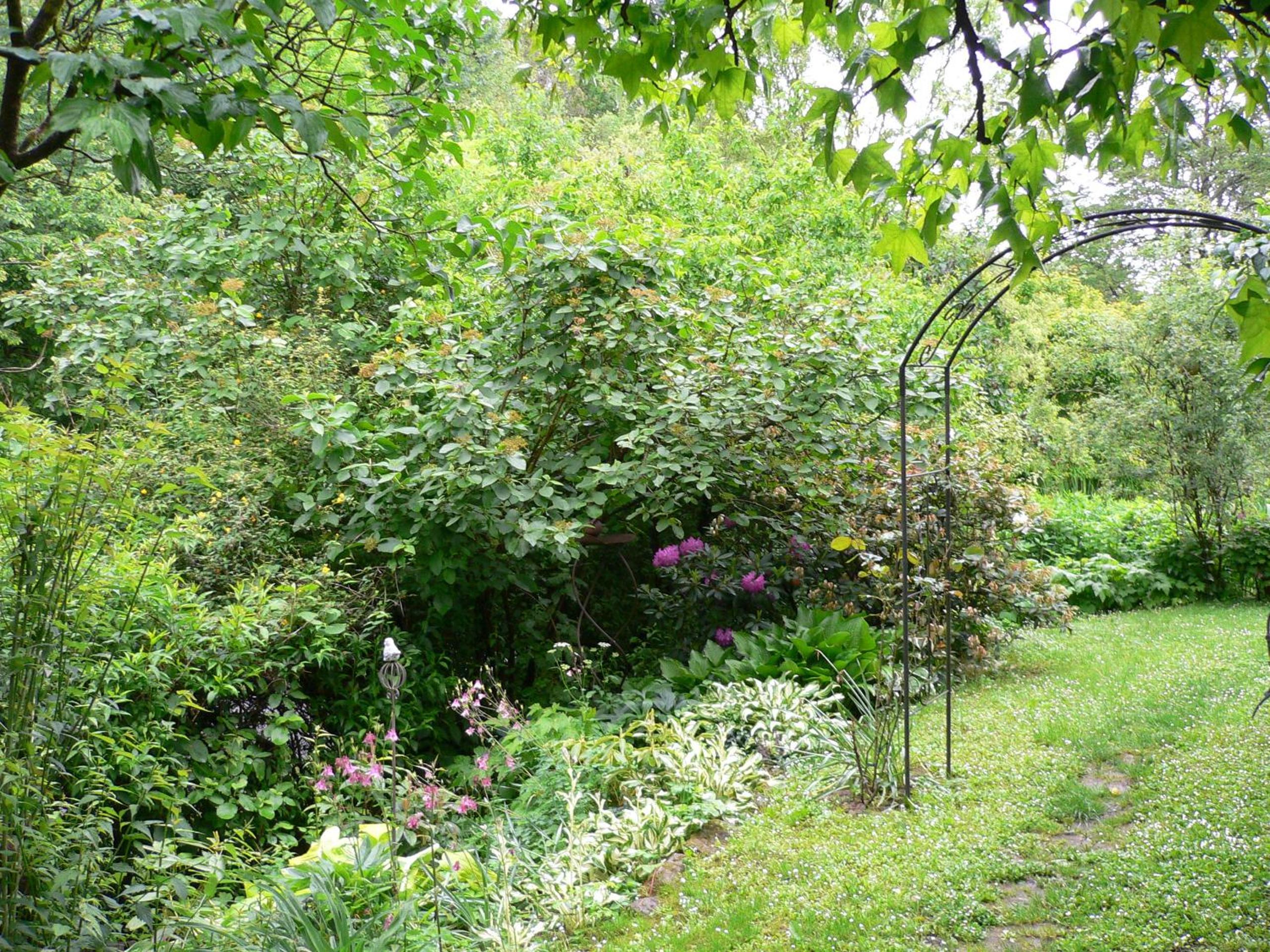 Photo 25