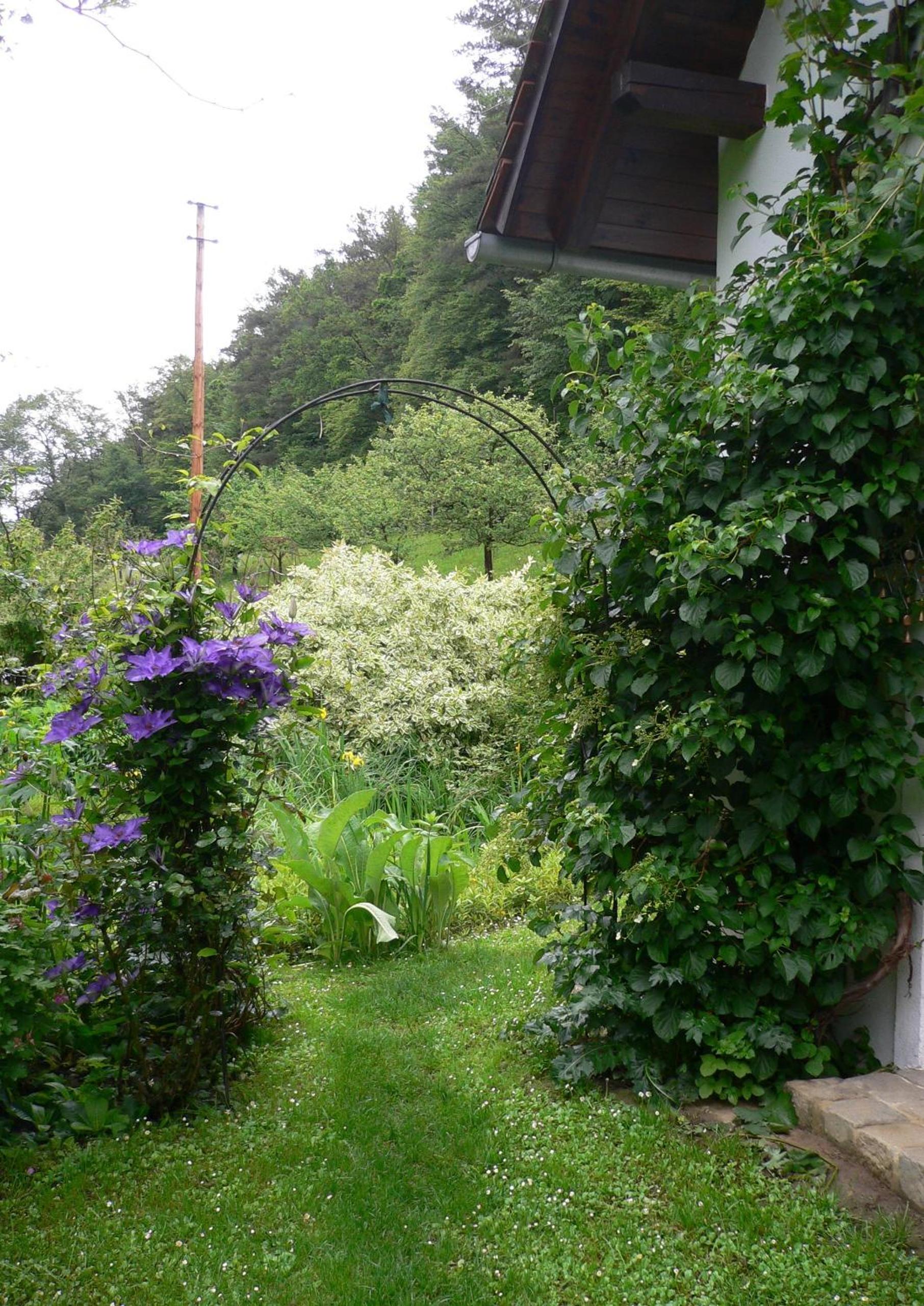 Photo 26