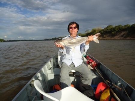 Photo 51