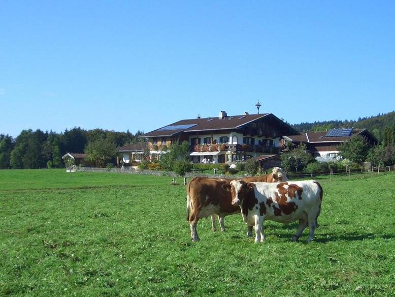 Gästehaus Restner - Chiemgau Karte view 3
