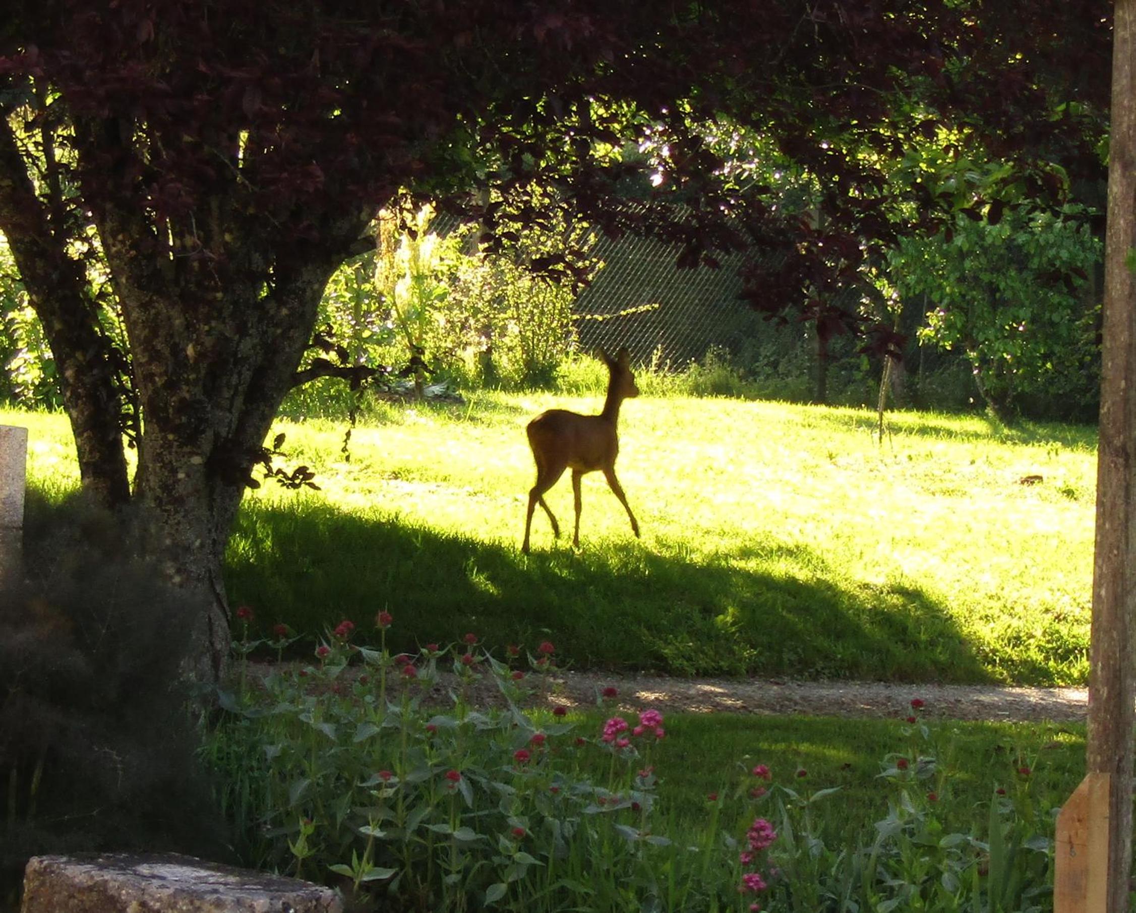 Photo 44