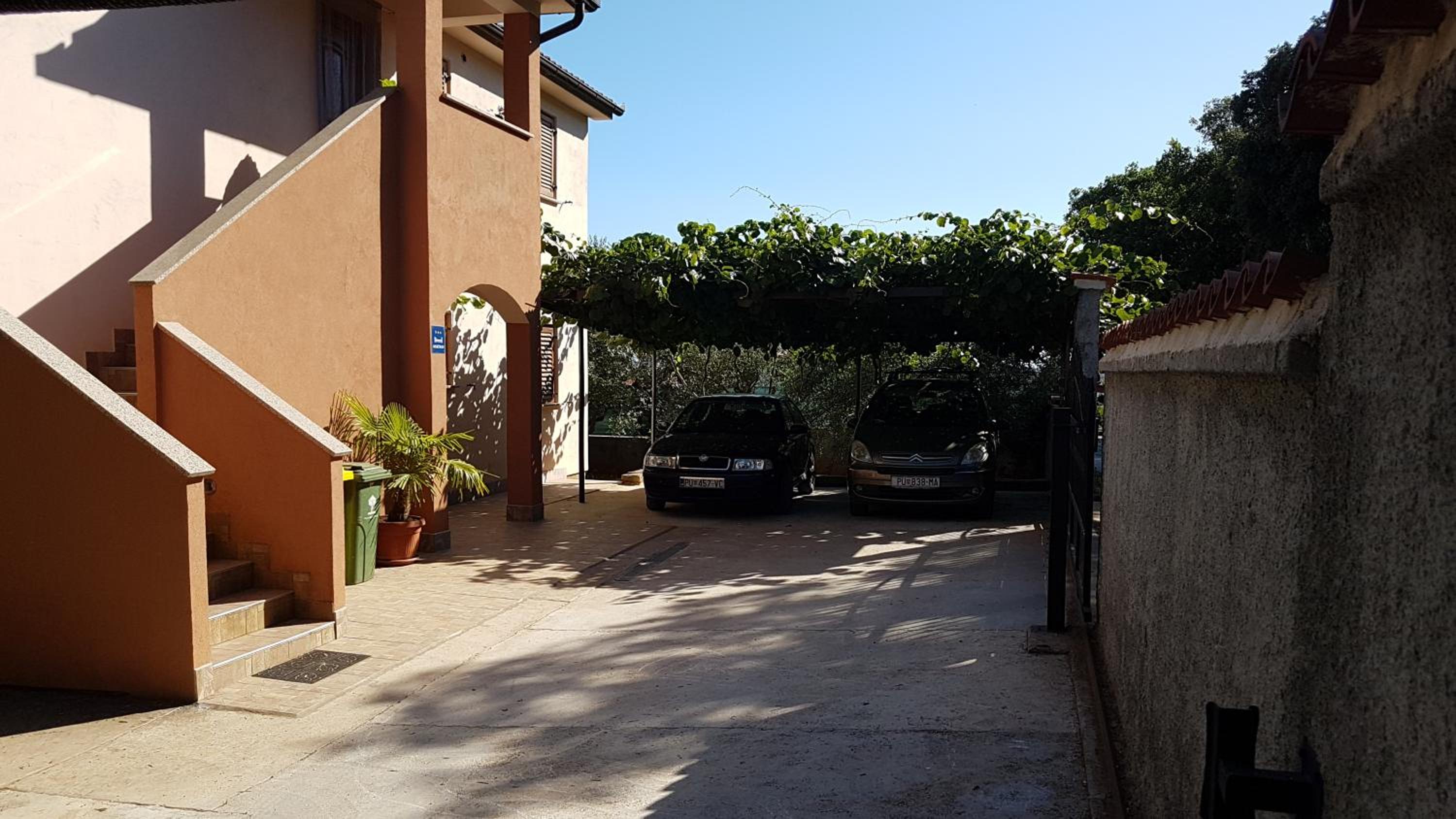 Photo 46