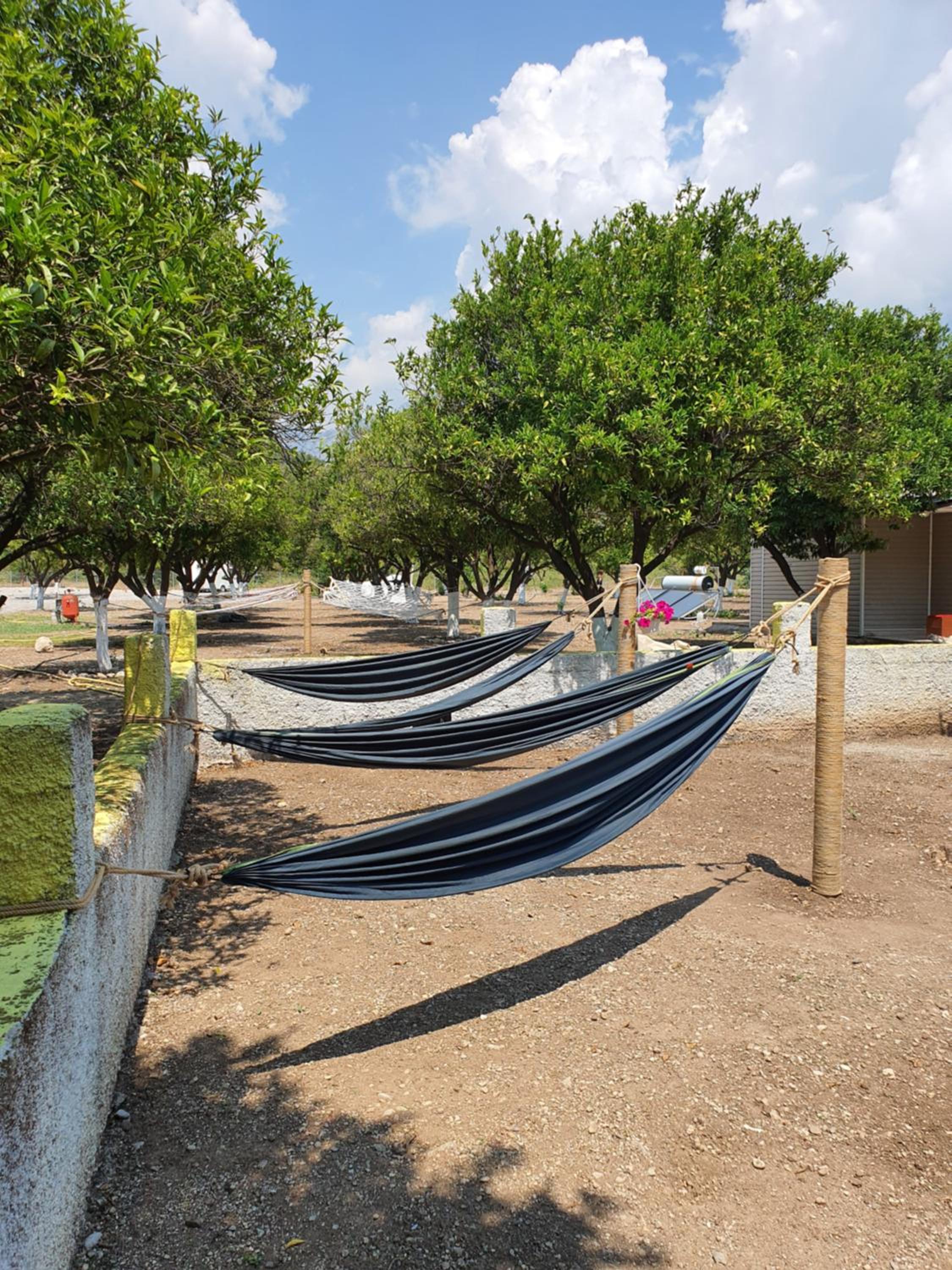 ORANGE BEACH CAMP, photo 22