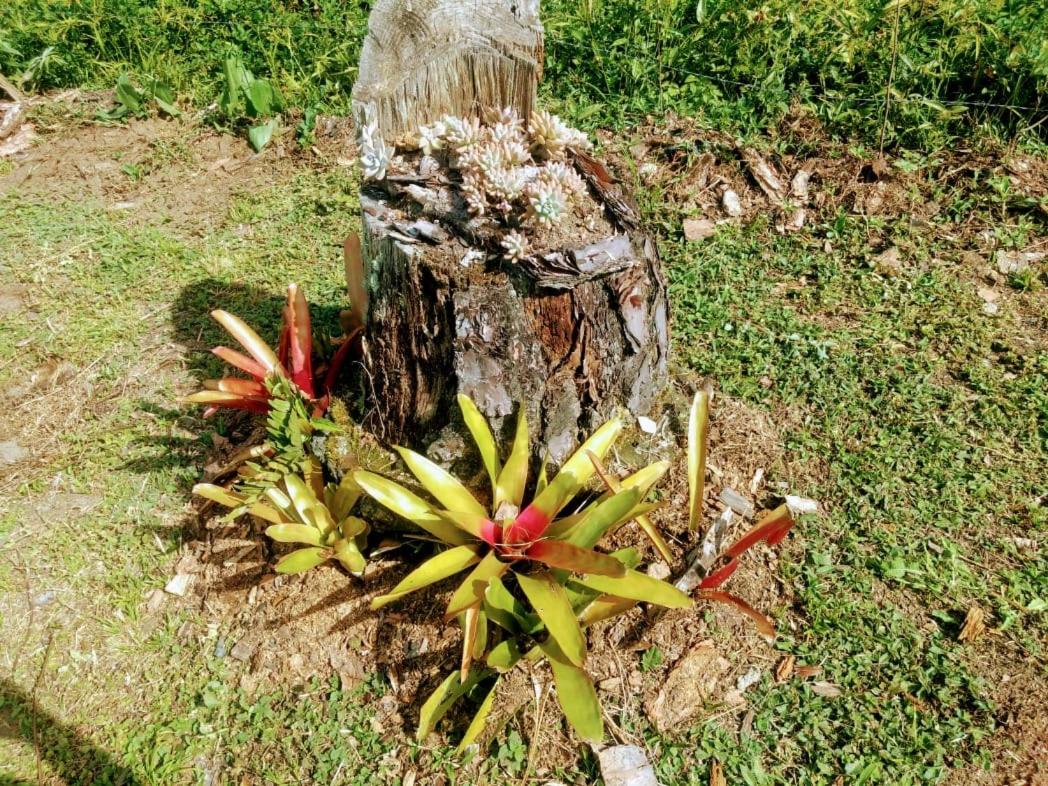Chalé Vale das Flores - Visconde de Mauá Rj