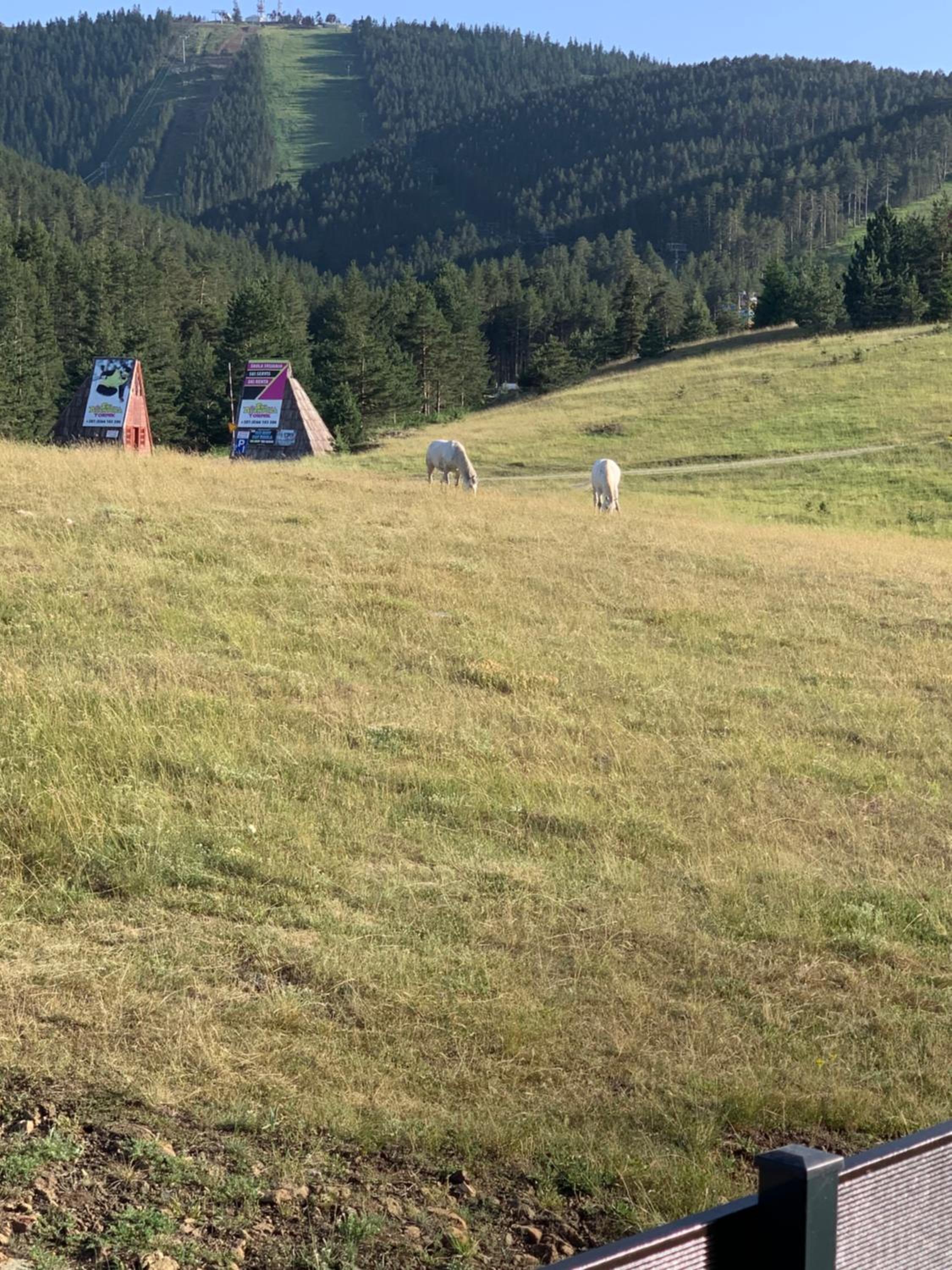 NG Apartmani Tornik Zlatibor view 2