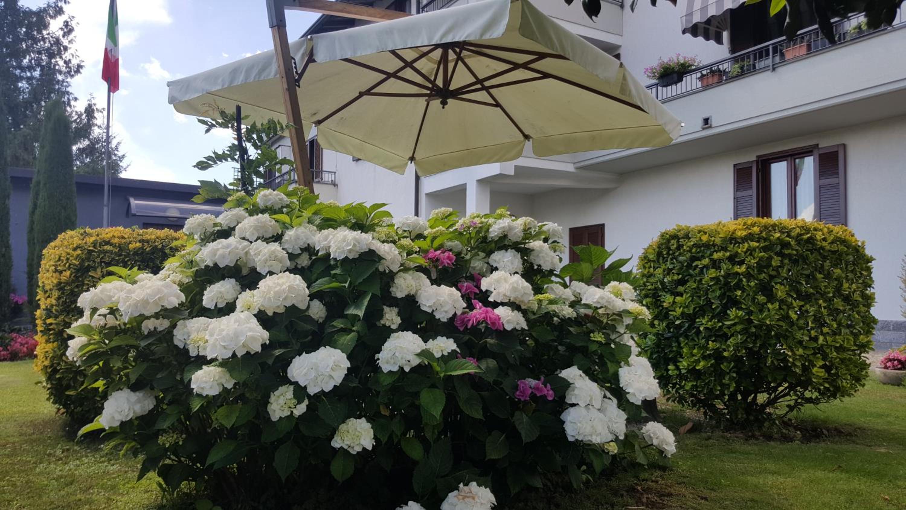 B&B Margè view 4
