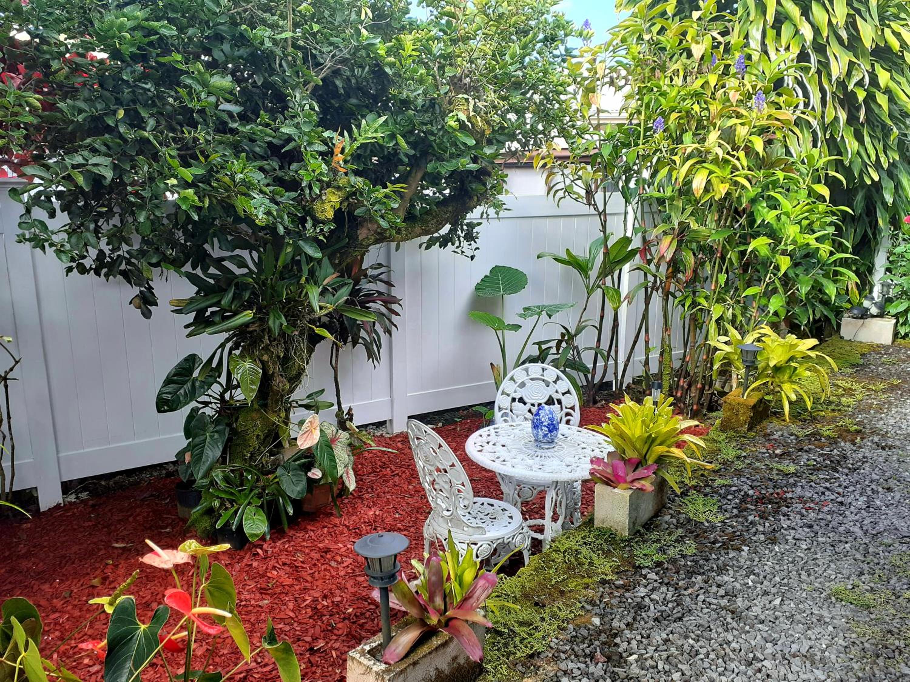 Paradise Cottage at Anthurium Hale - Property Image 5