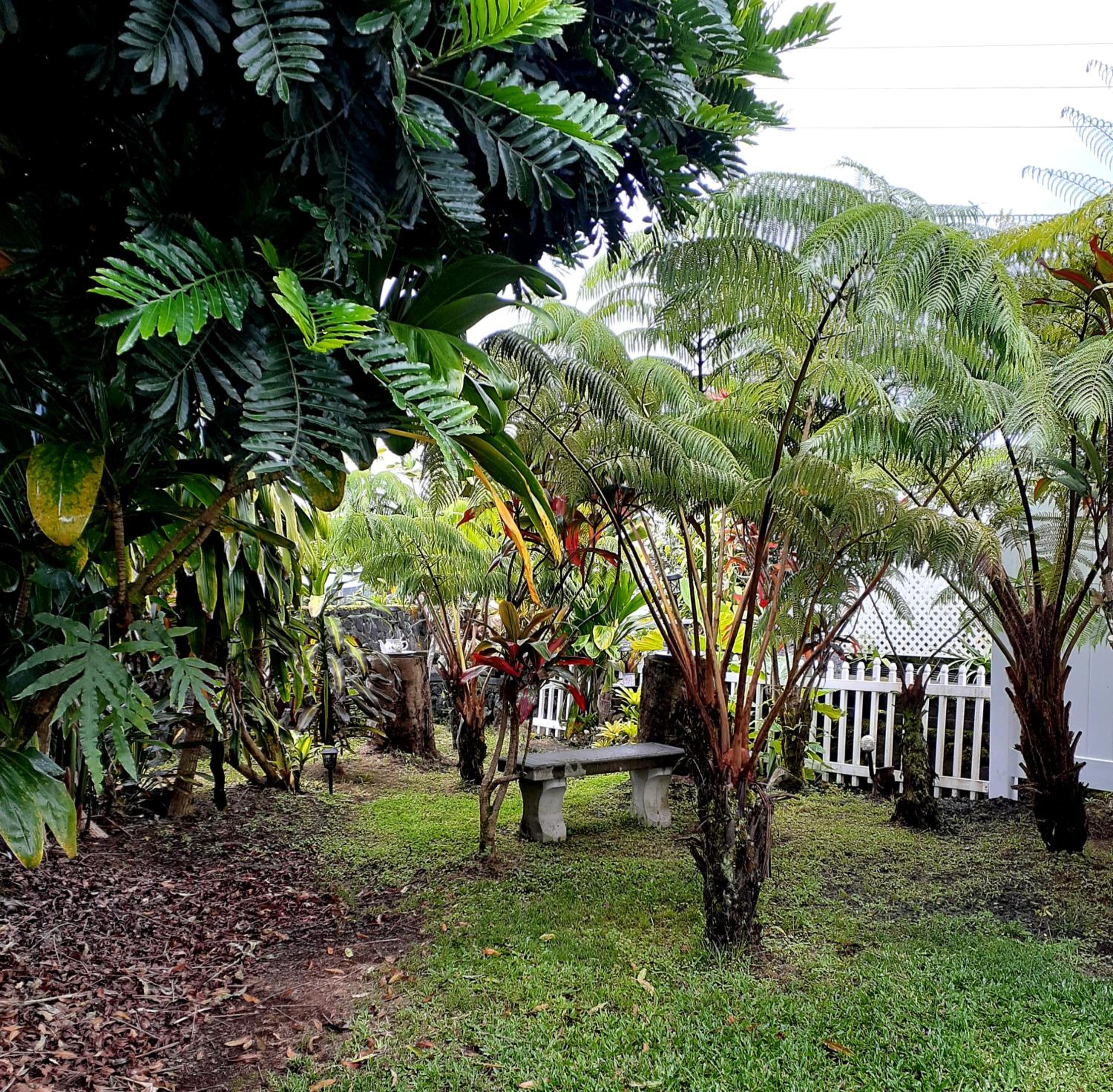 Maui Vacations - Paradise Cottage at Anthurium Hale - Property Image 2