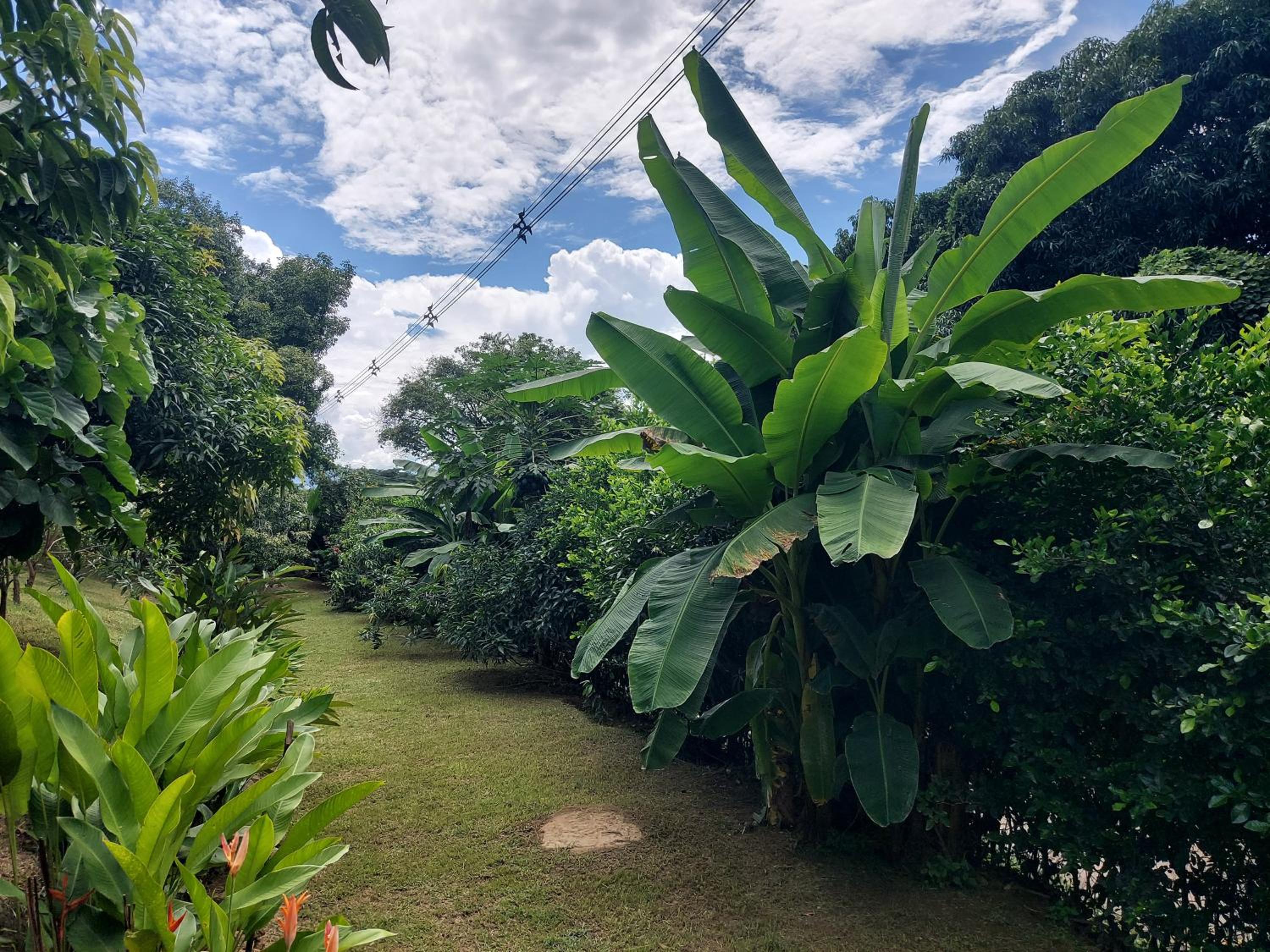 Rodeo Real Finca view 2