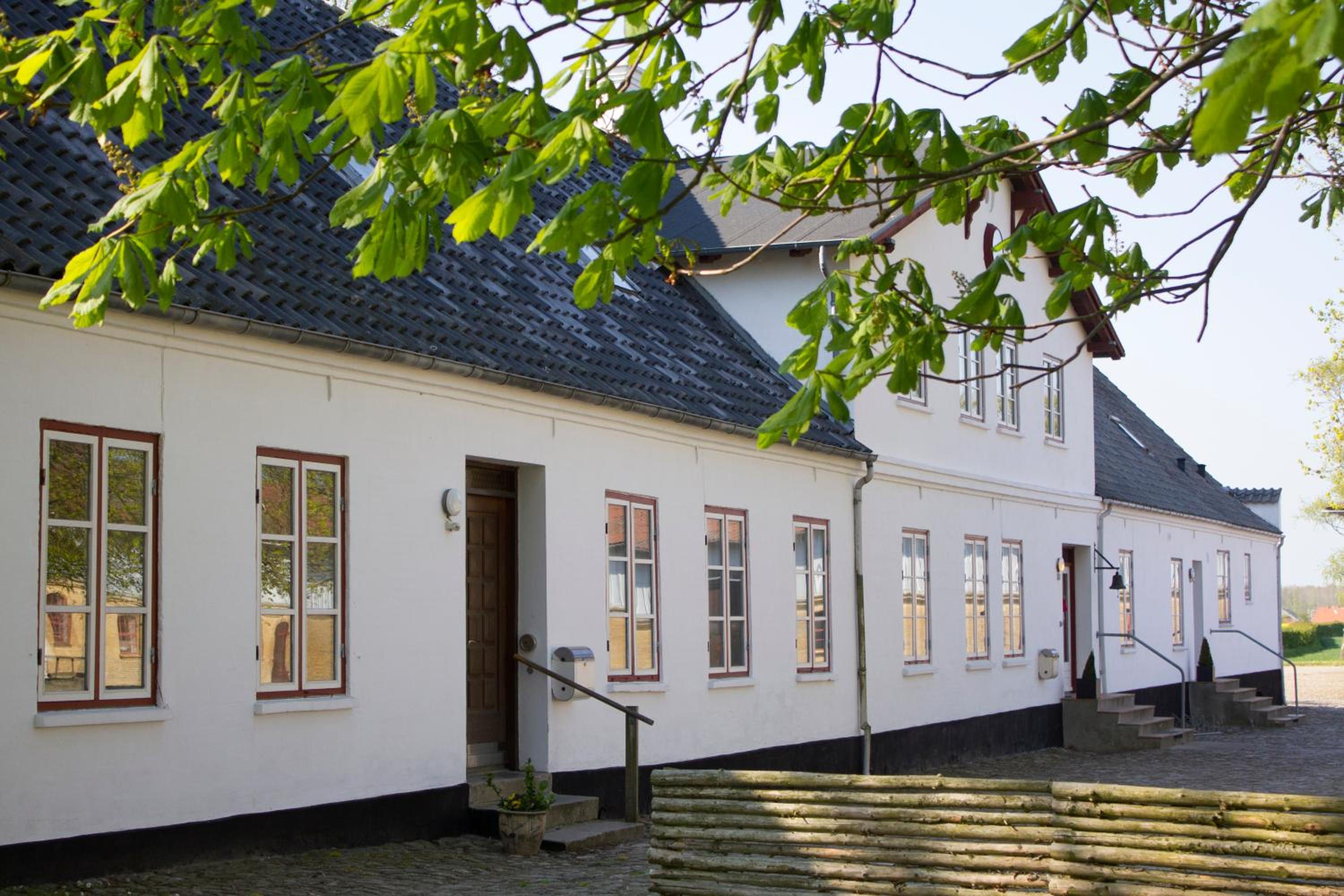 Rønhave