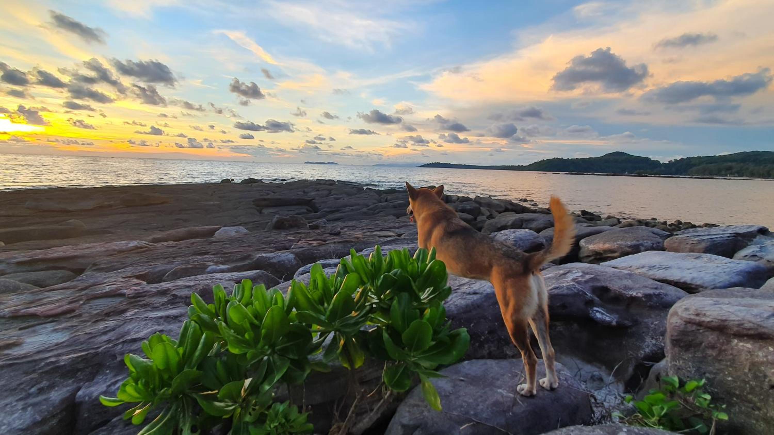 Kinnaree Resort Koh Kood