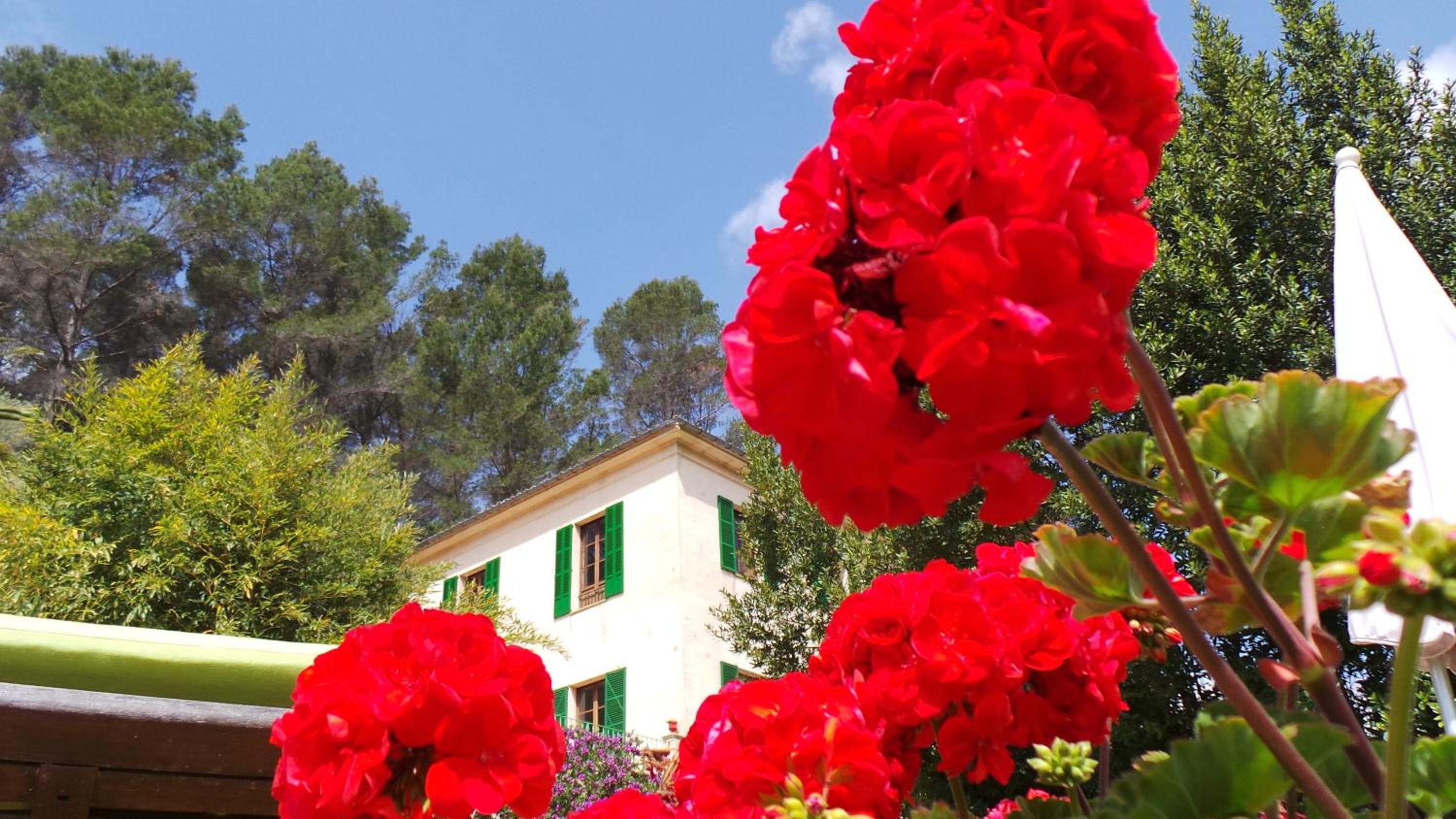 Agroturisme Finca Sa Maniga
