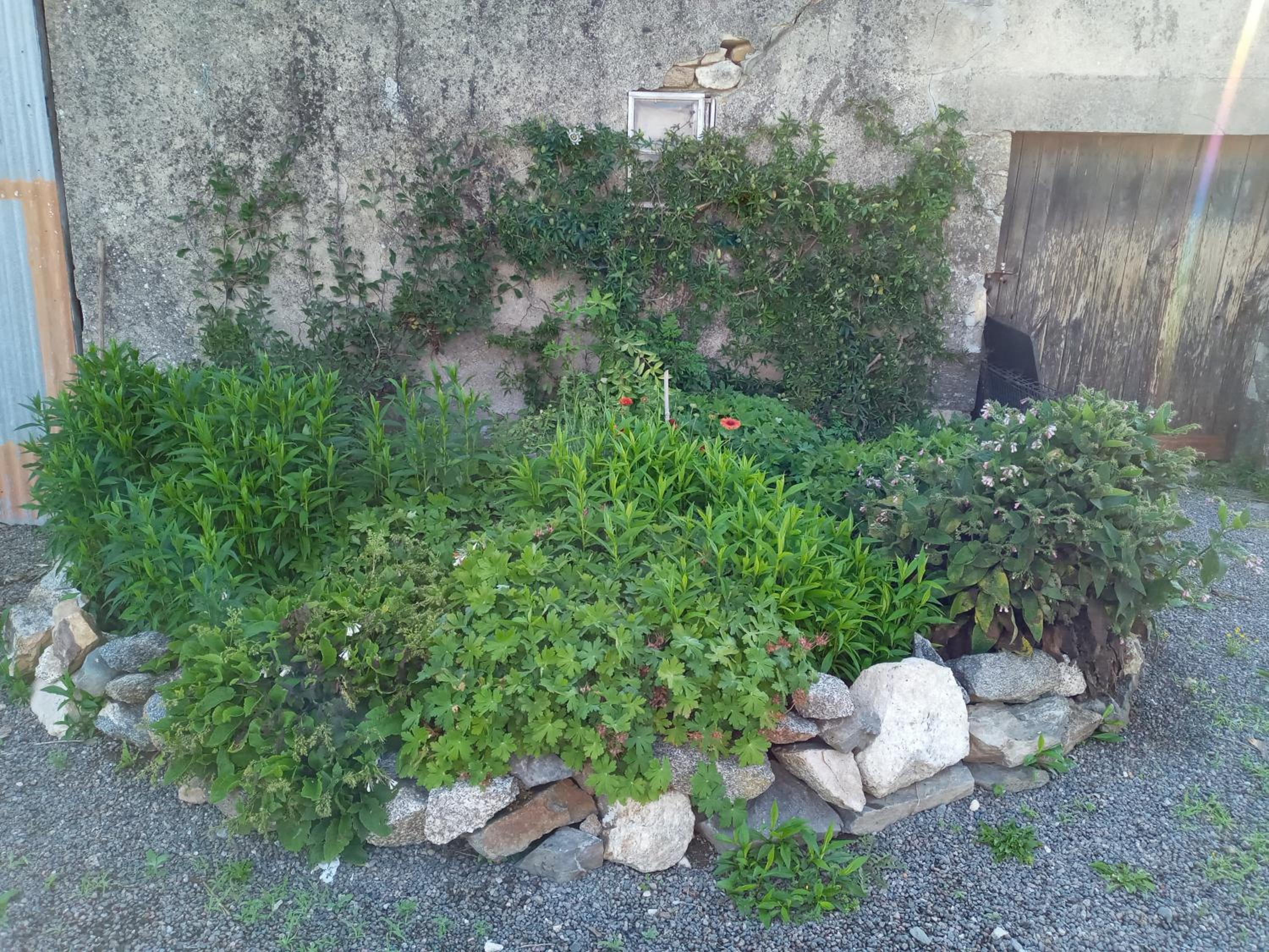 Photo 39
