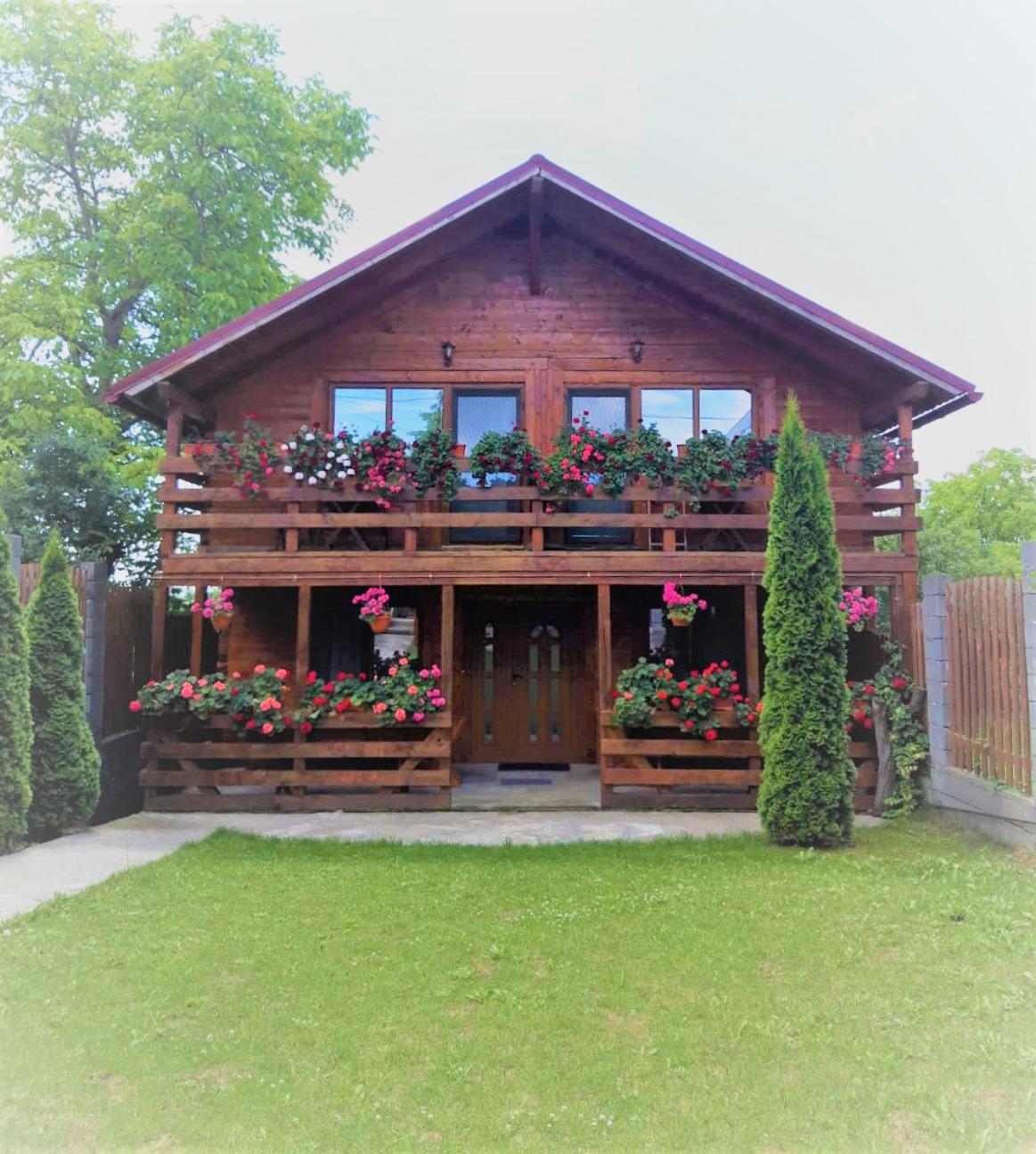 Casa Gherman view 3