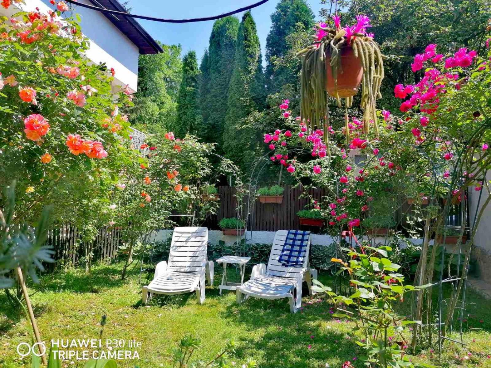 Modern&Cozy Bosnian house with GARDEN+FREE parking