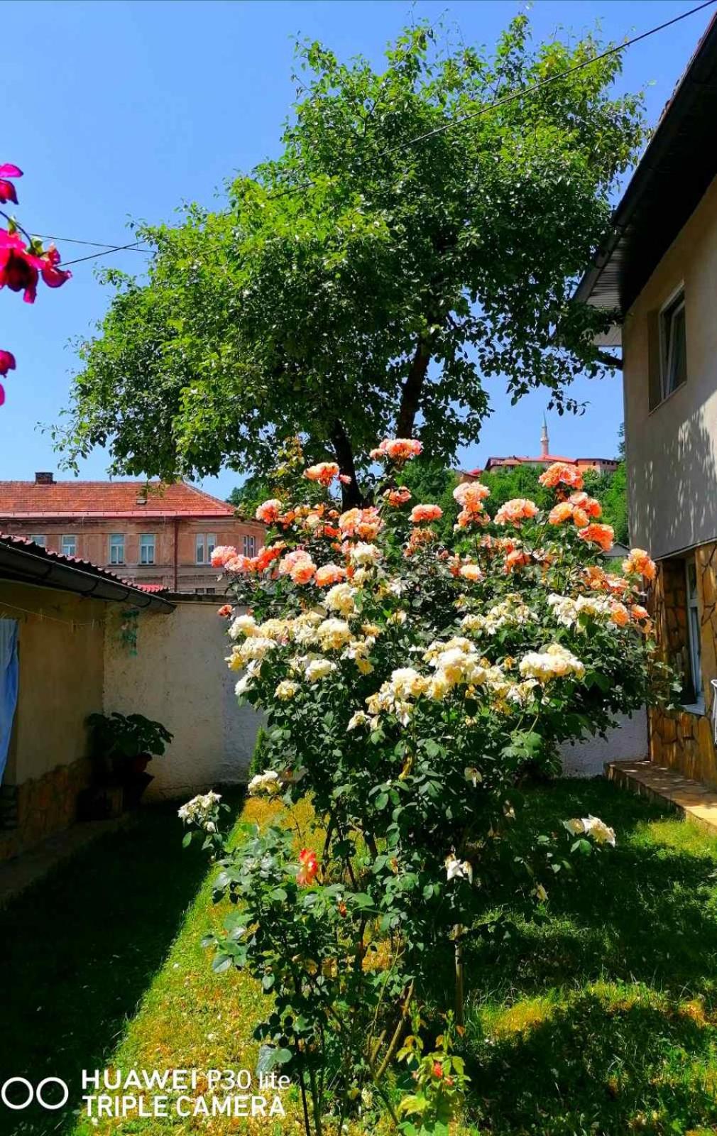 Modern&Cozy Bosnian house with GARDEN+FREE parking