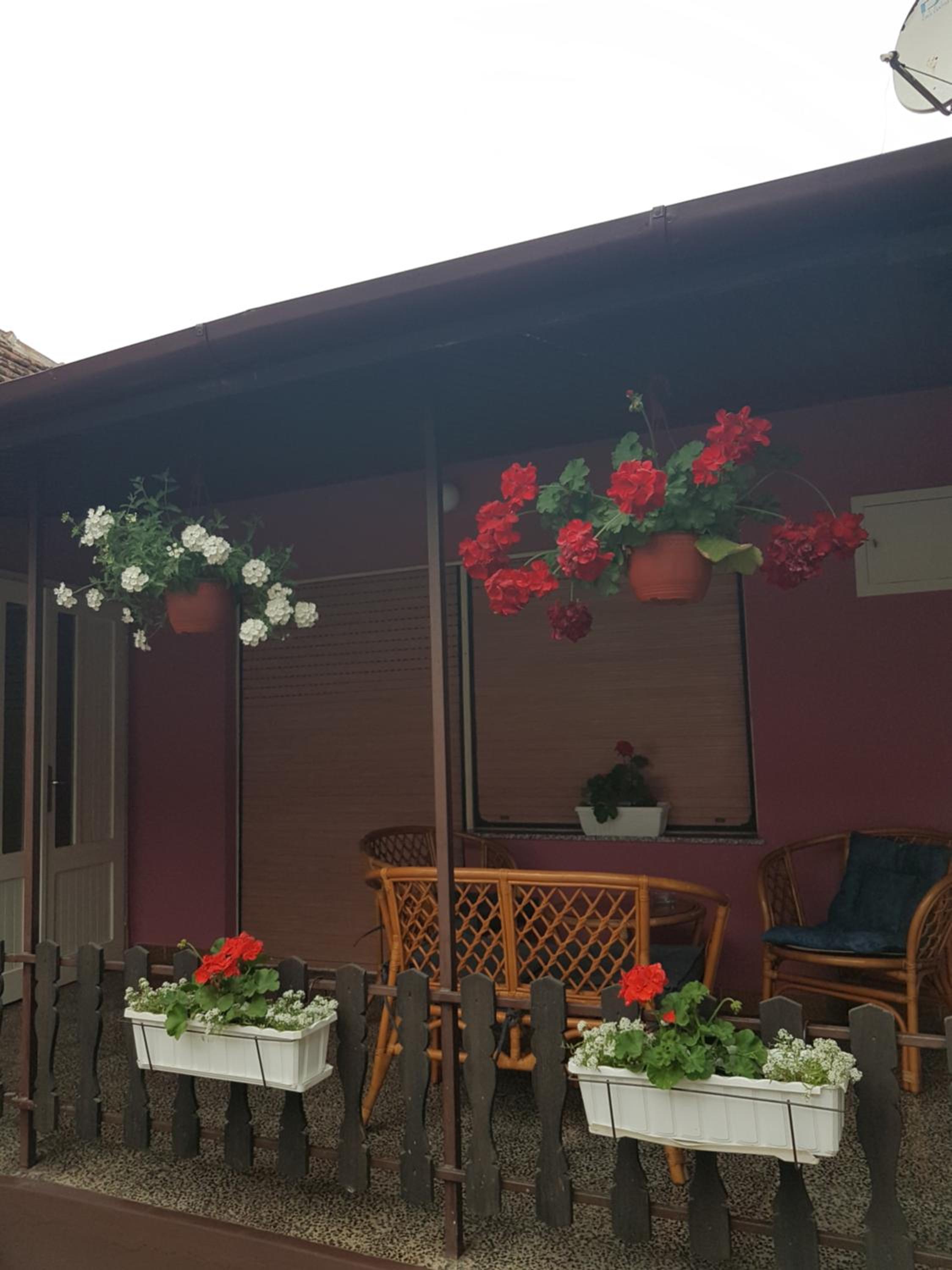 Apartmani, sobe Žiža