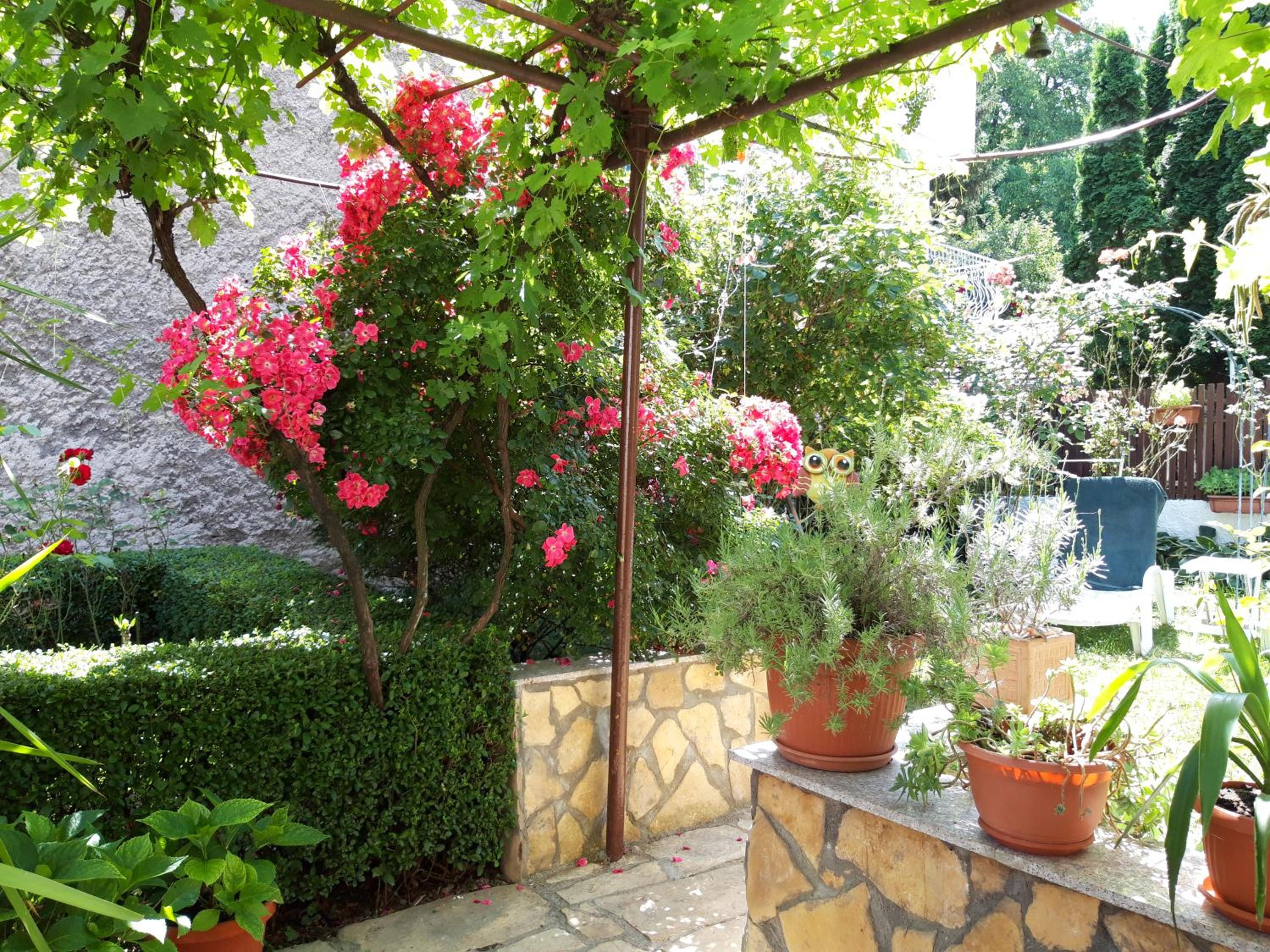 Modern&Cozy Bosnian house with GARDEN+FREE parking