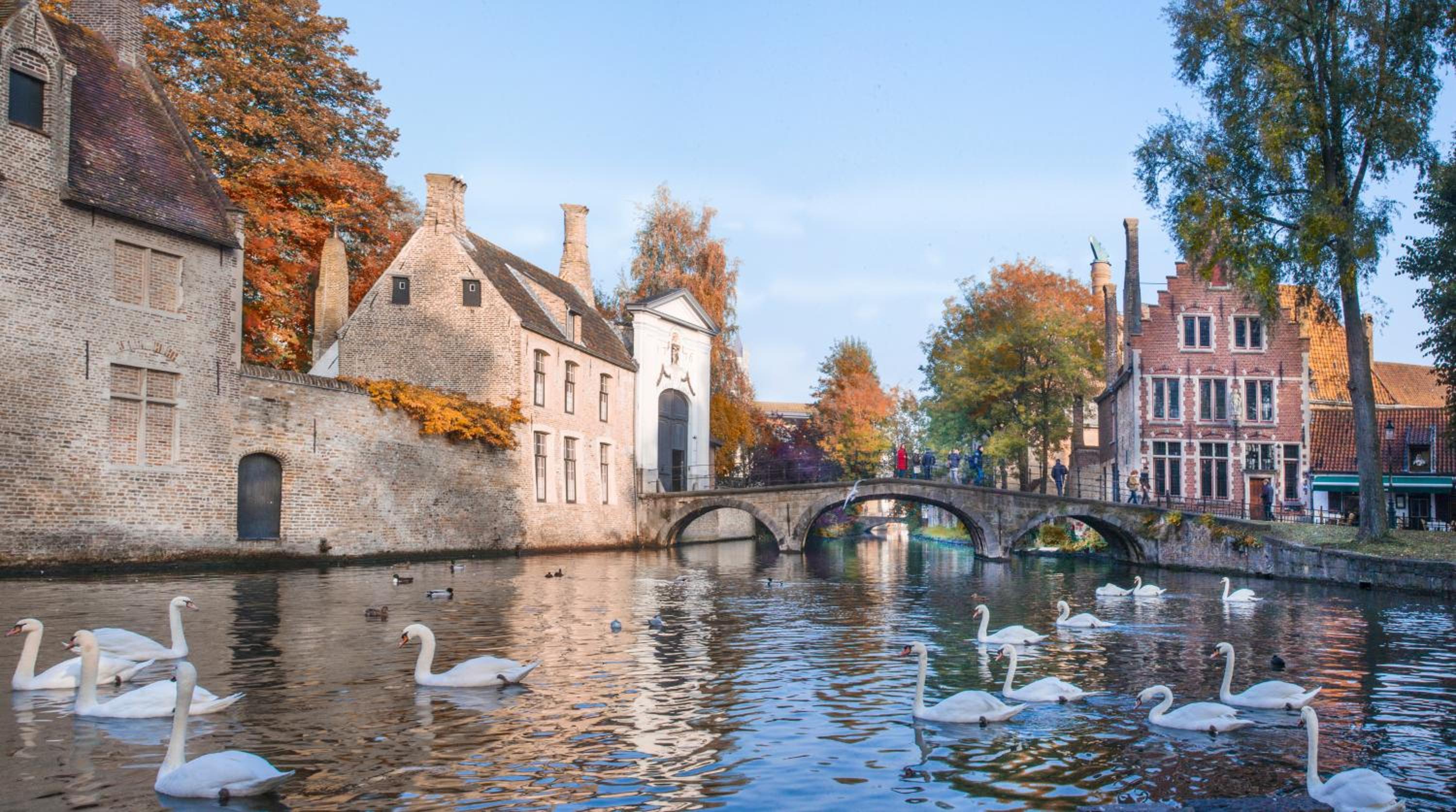 Zakske13 - Design Boutique B&B in Bruges city centre