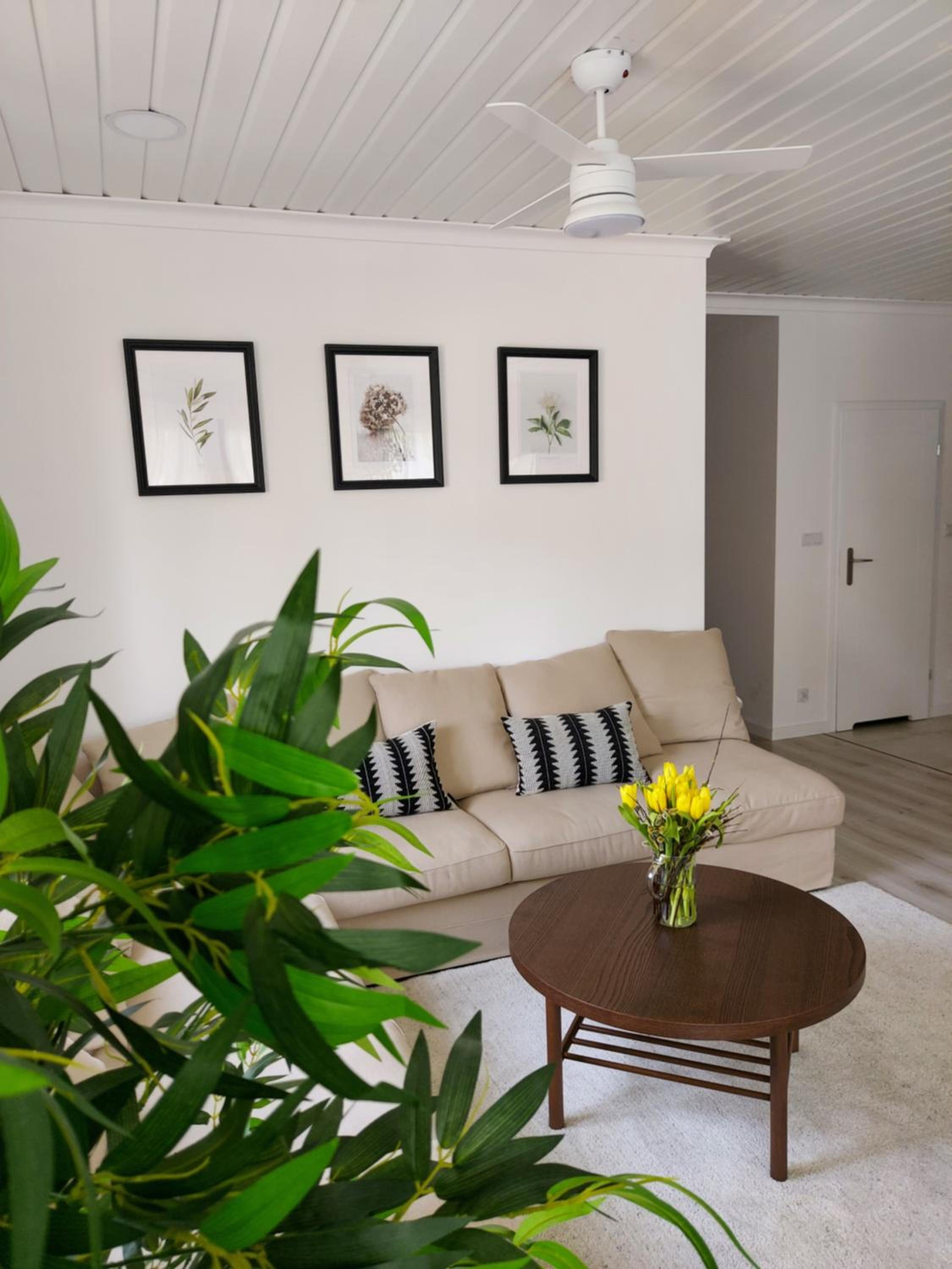Maritima's Home view 5