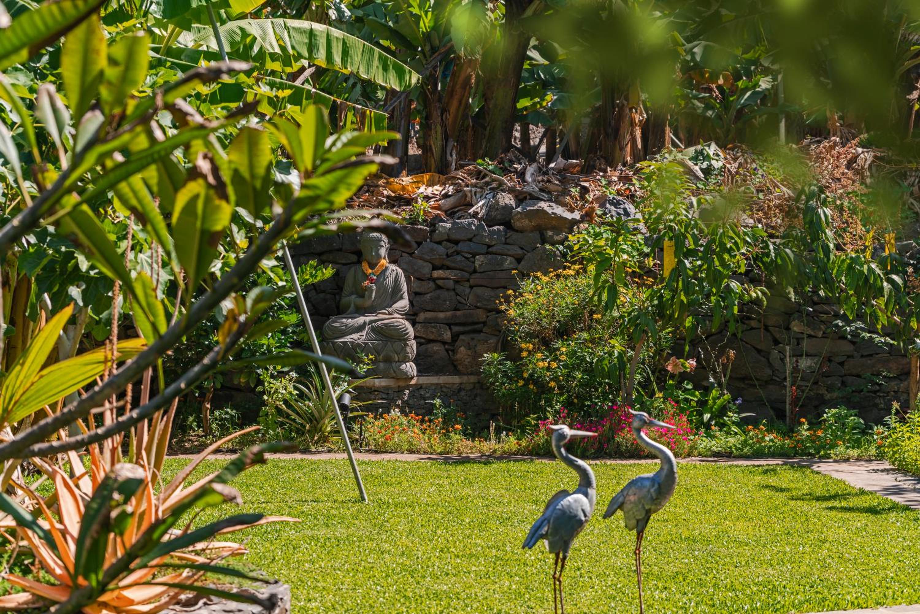 Quinta Golfinho