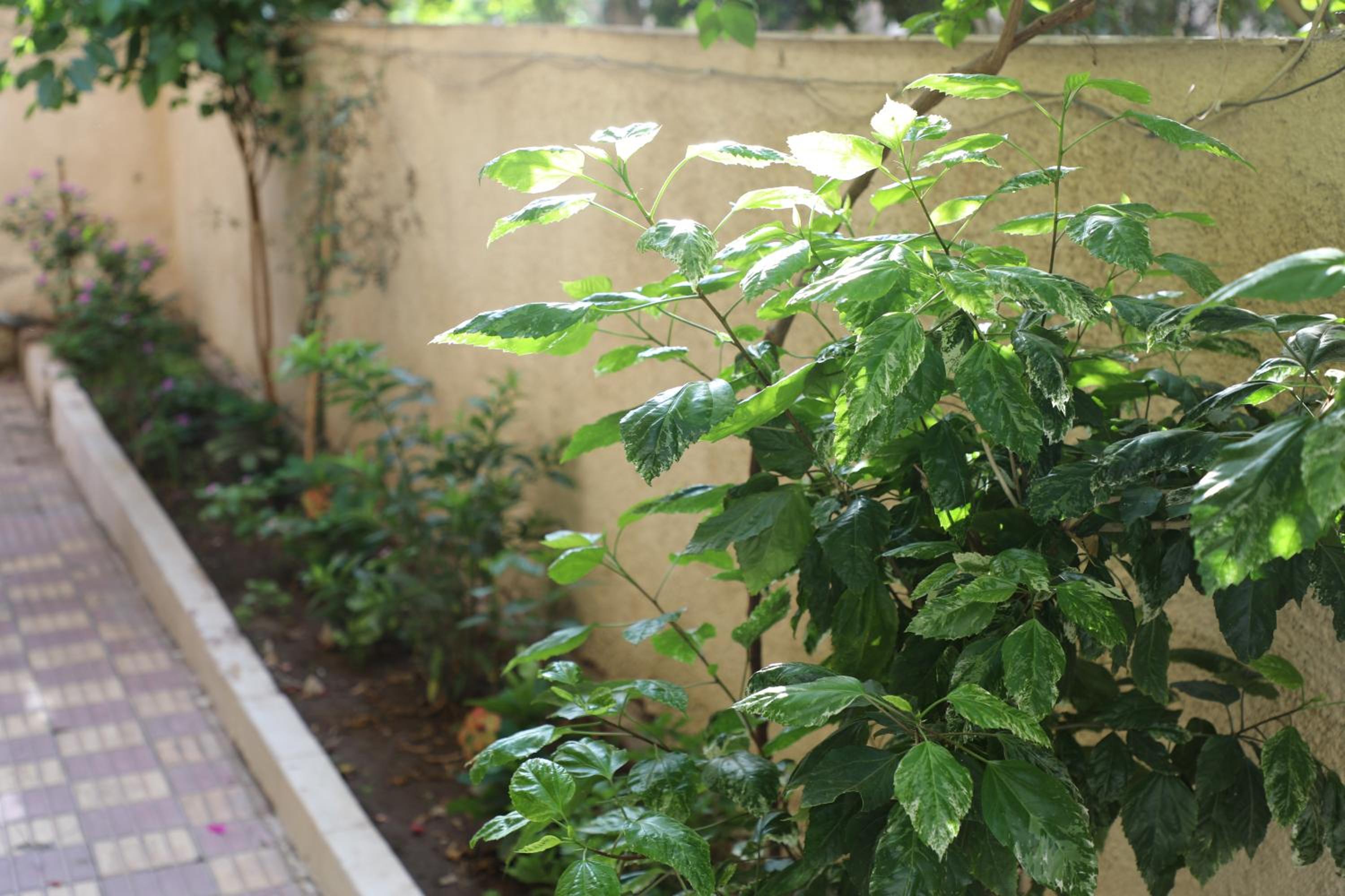 Villa Nasr city