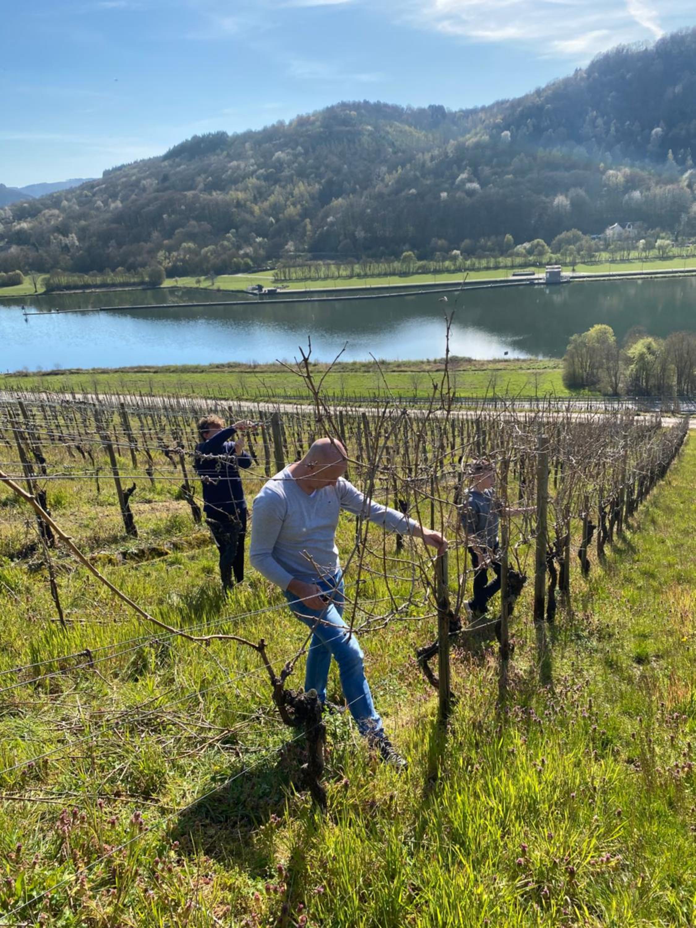 Landgasthof Zur Sonne