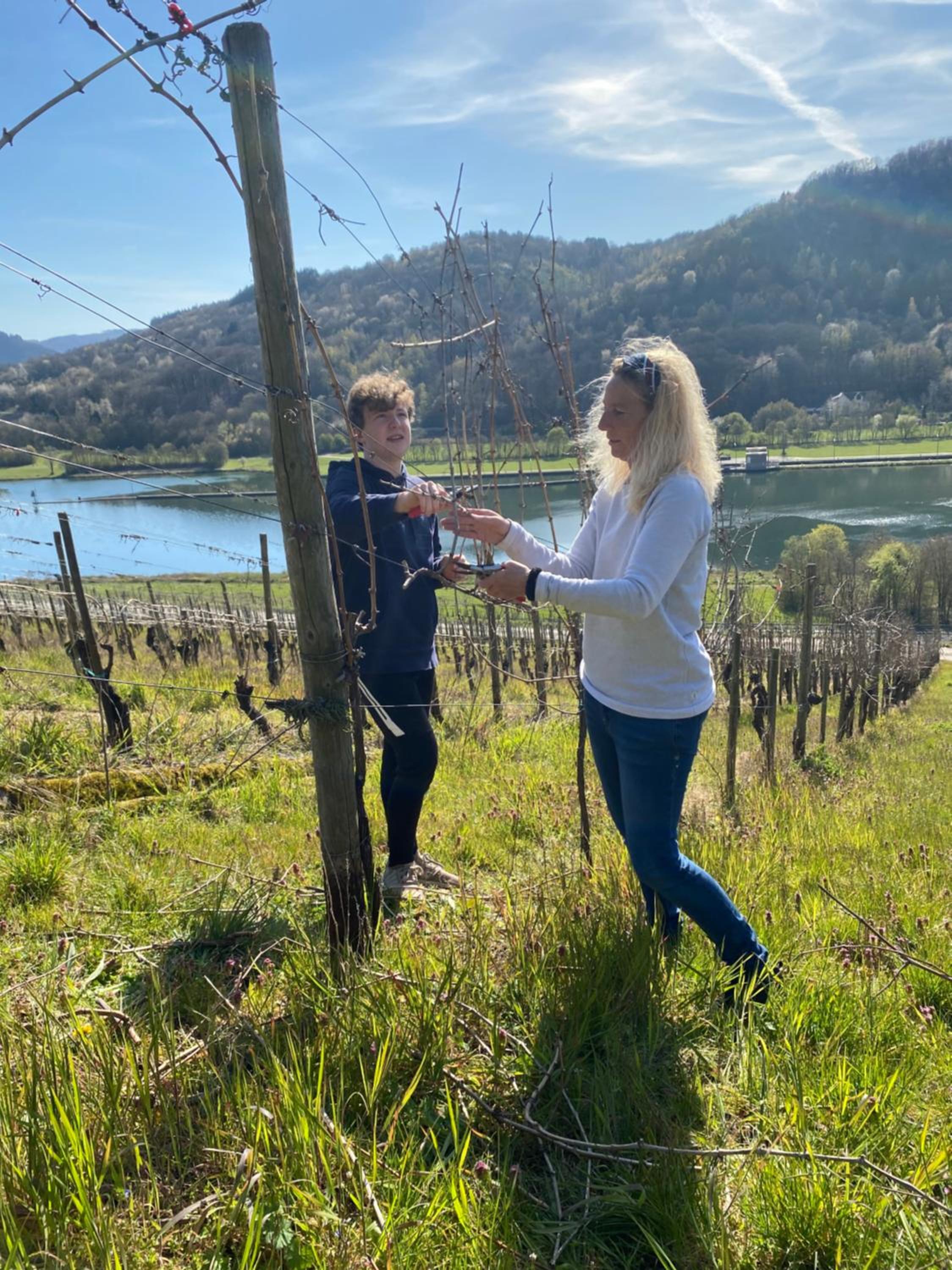 Landgasthof Zur Sonne
