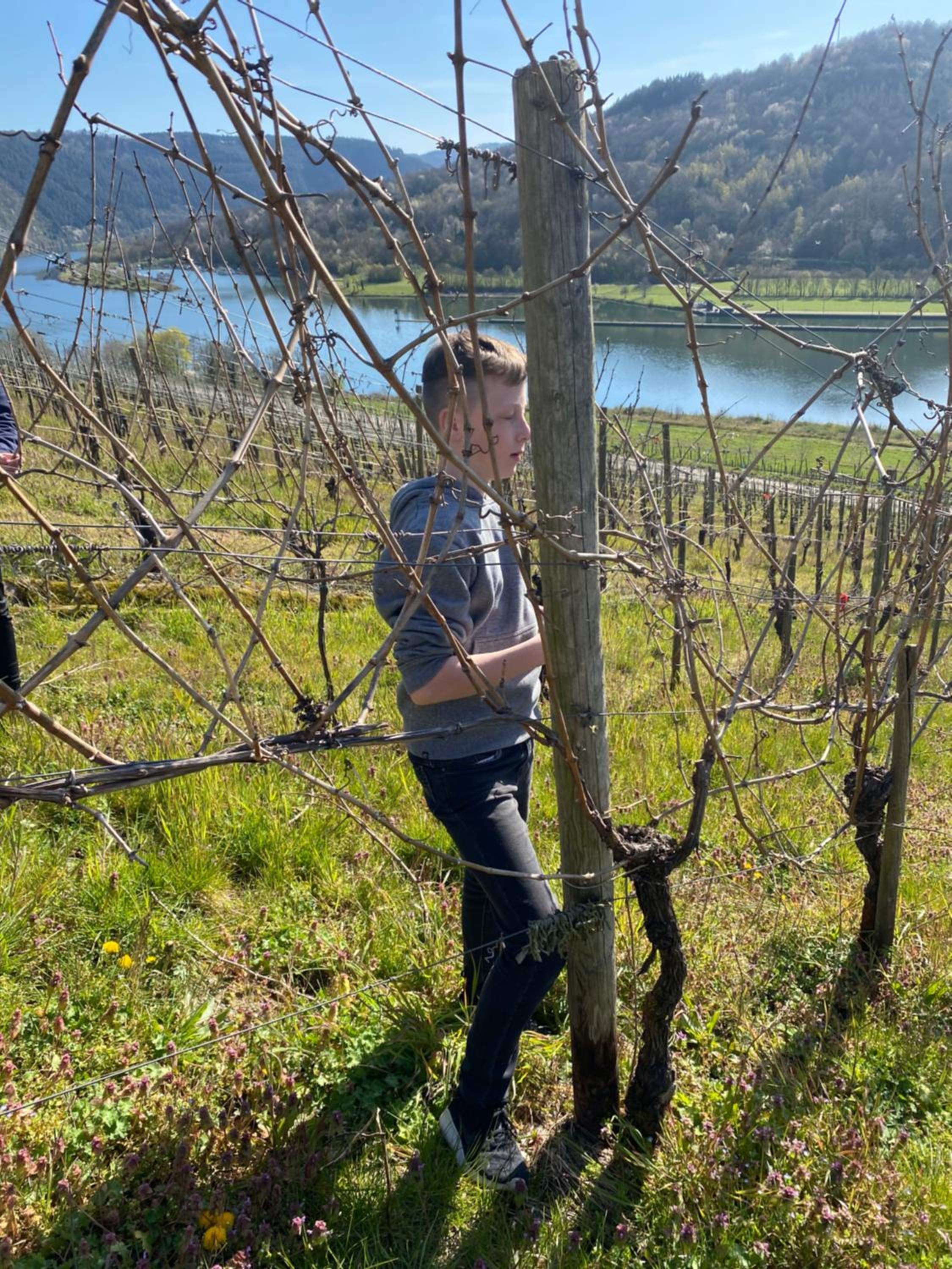 Landgasthof Zur Sonne